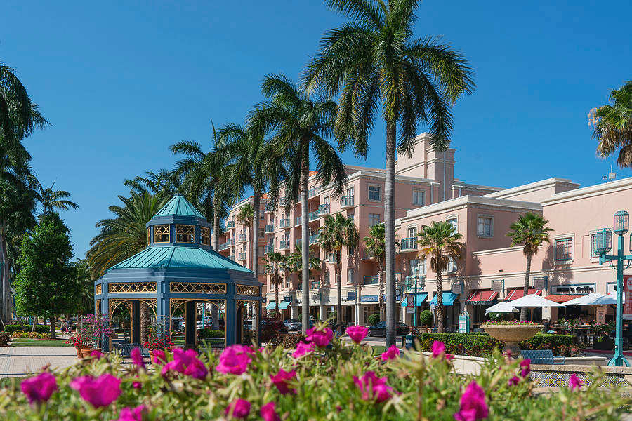 Boca Raton Spring Flowers