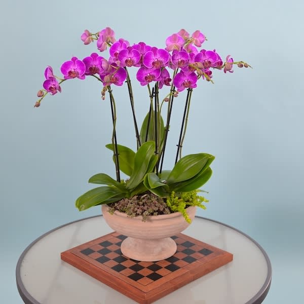 The Ultimate Gift Over Material Things