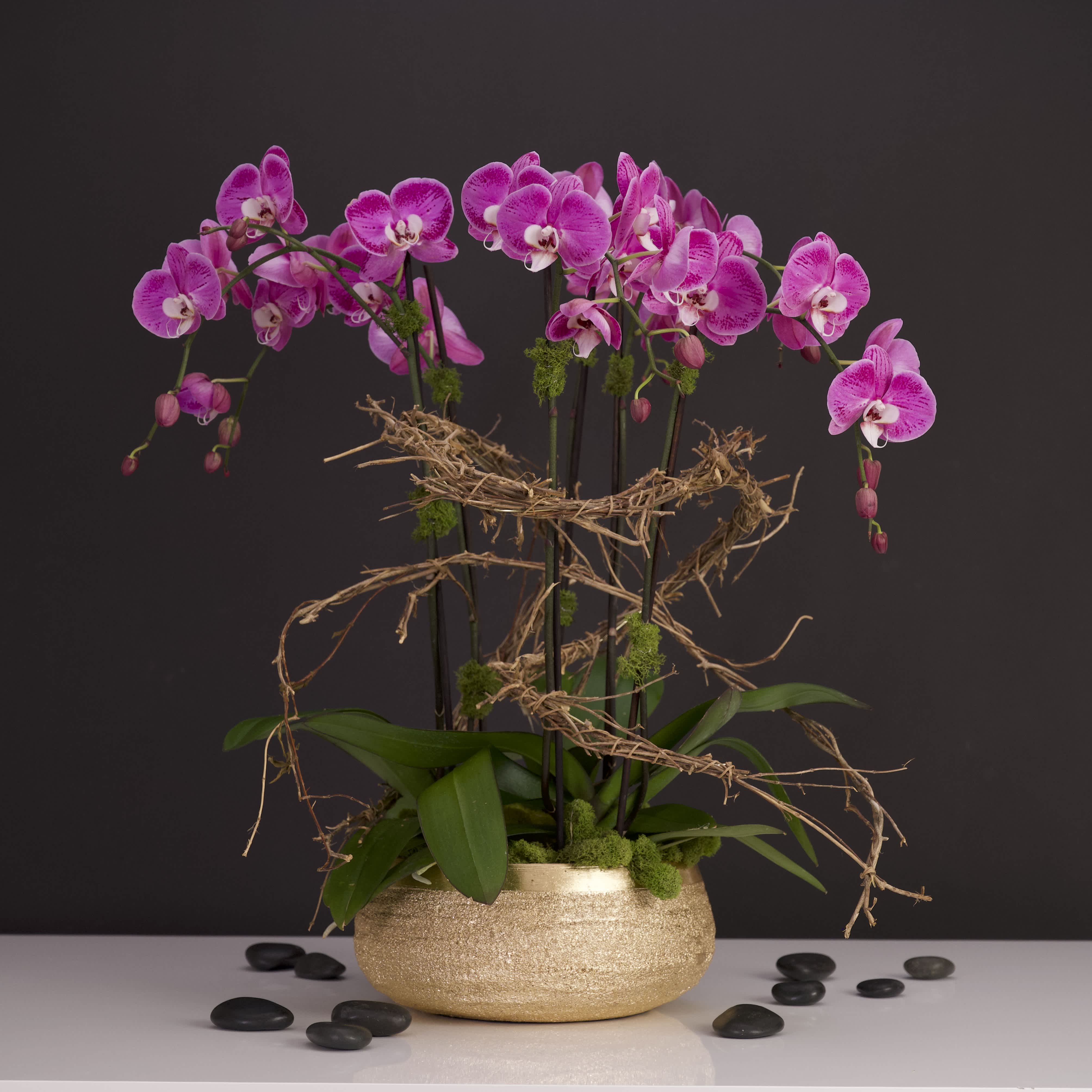 Summer Parties in Full Bloom