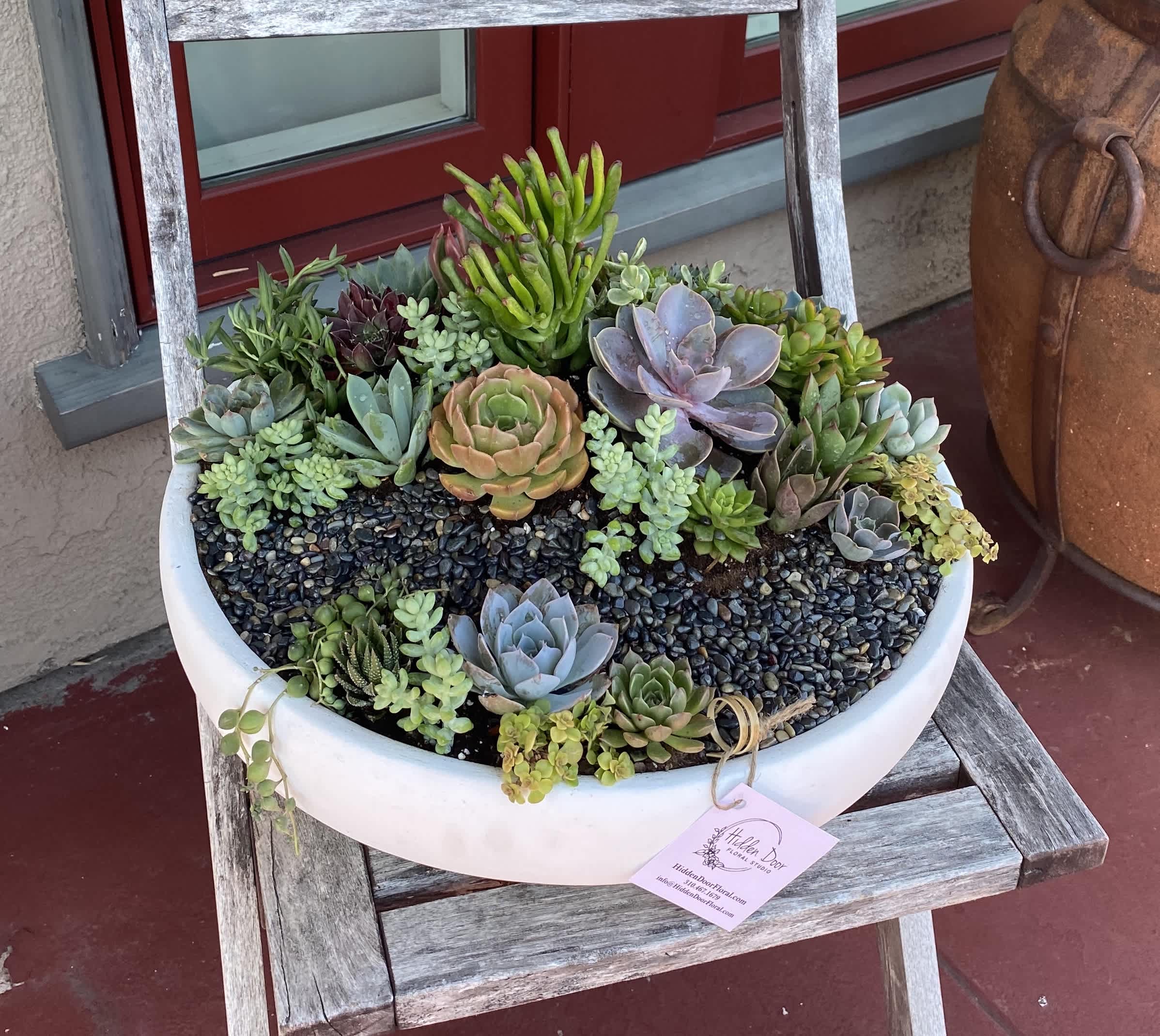The Perfect Plant Gift: Green Succulents