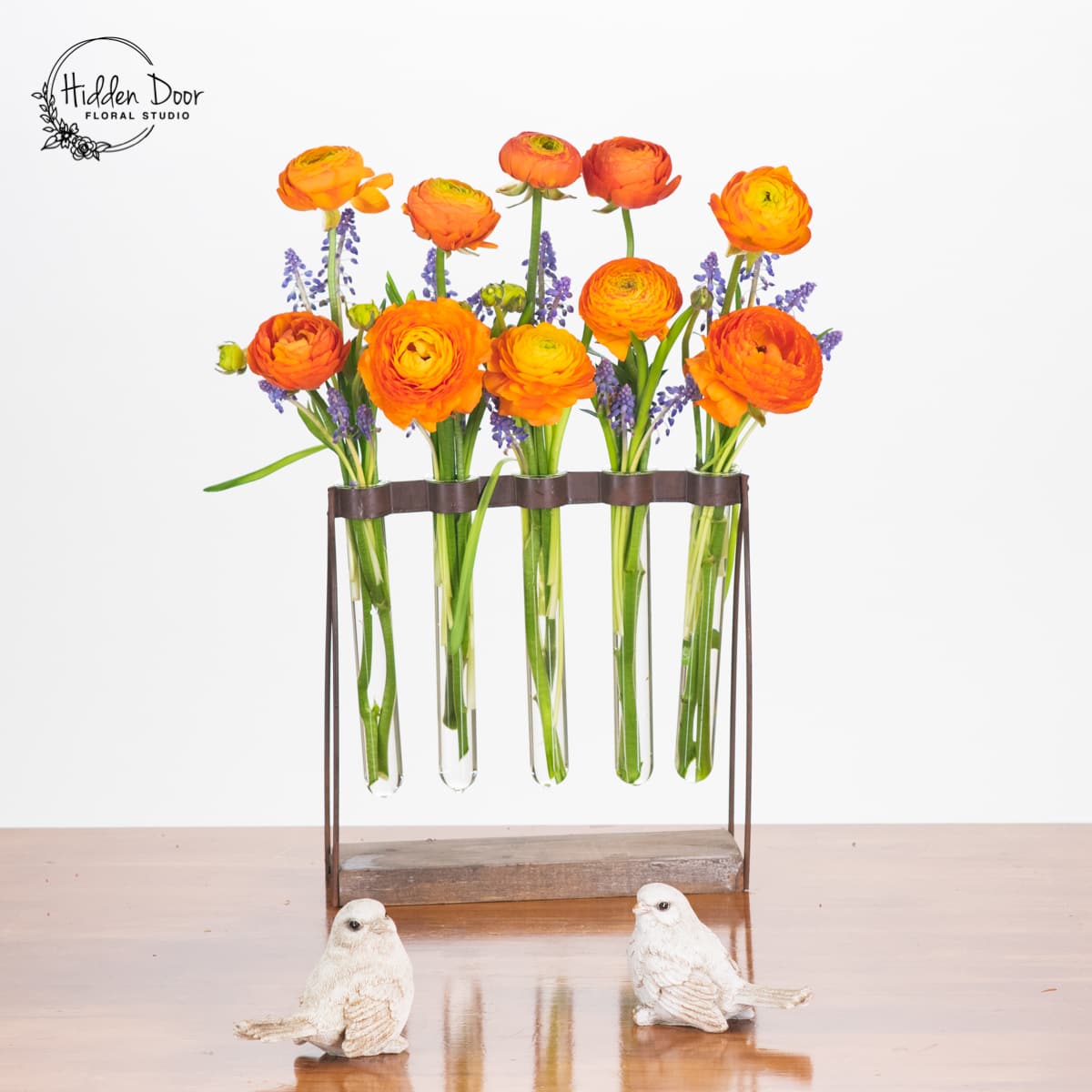 Different Types of Flowers, Symbolism, and Care