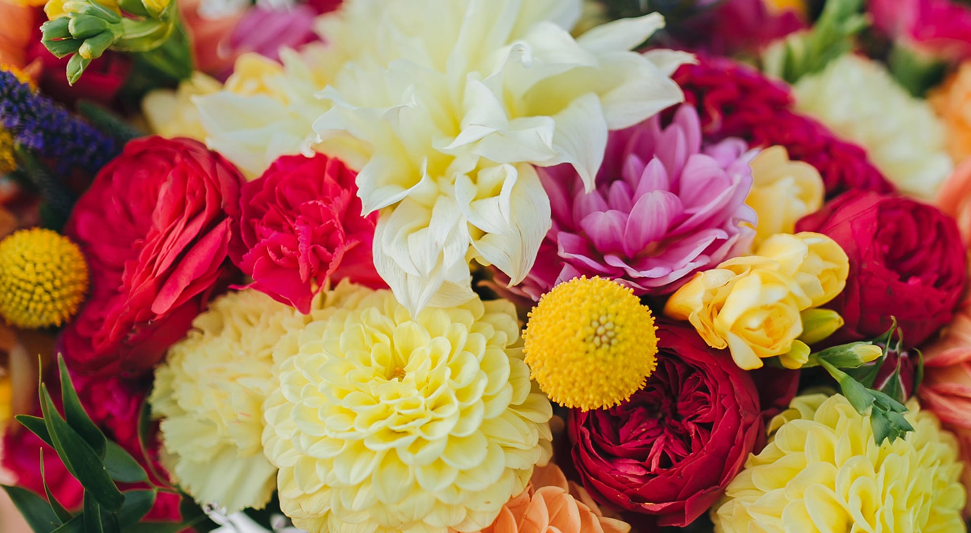 Ogden Florist Flower Delivery by The Posy Place