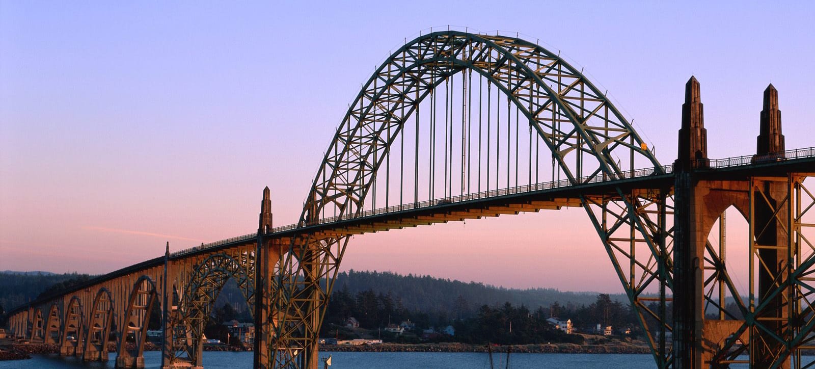 Newport Florist Flower Delivery by Newport Florist and Gifts