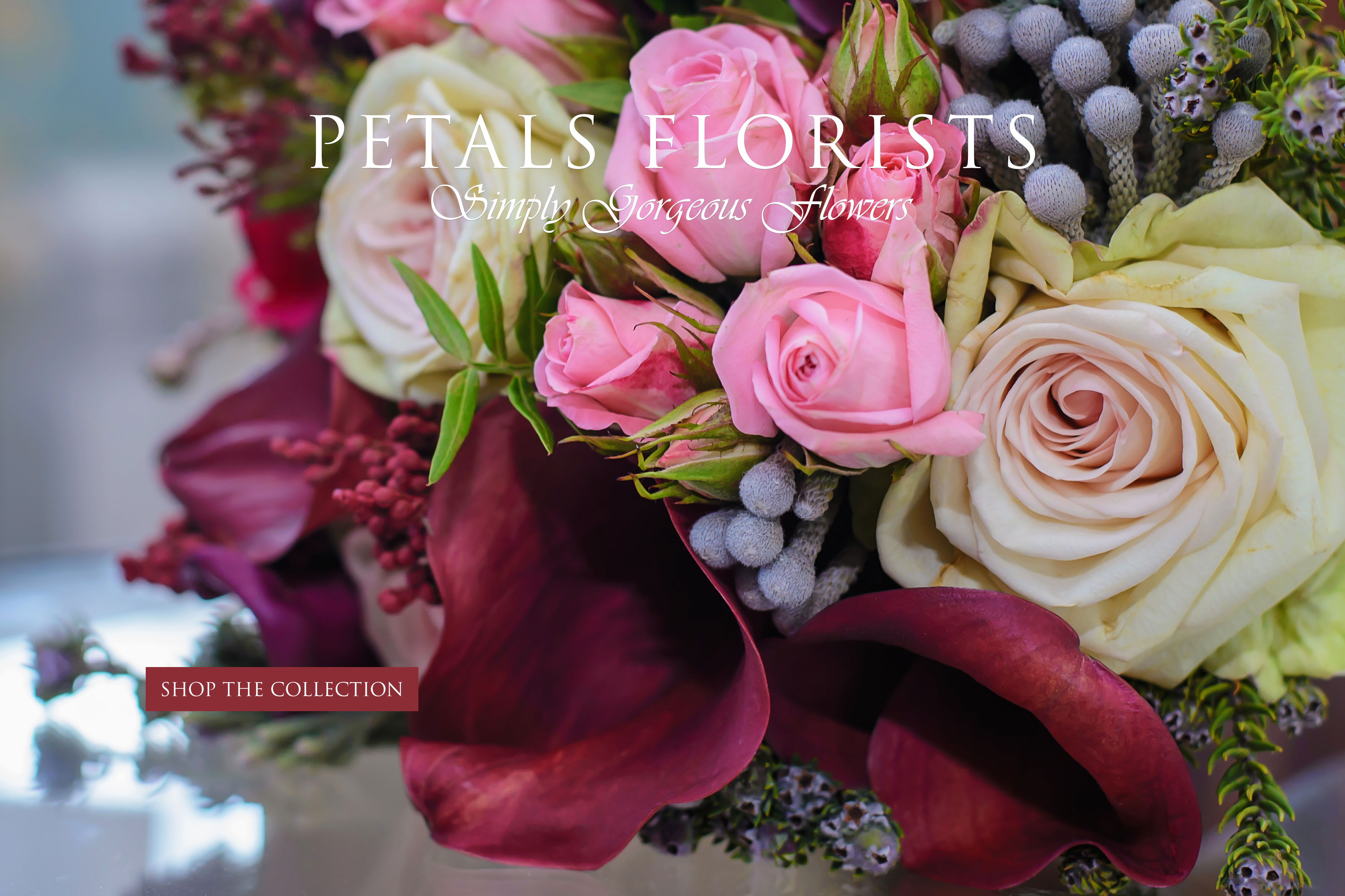 King Of Prussia Florist Flower Delivery by Petals Florist