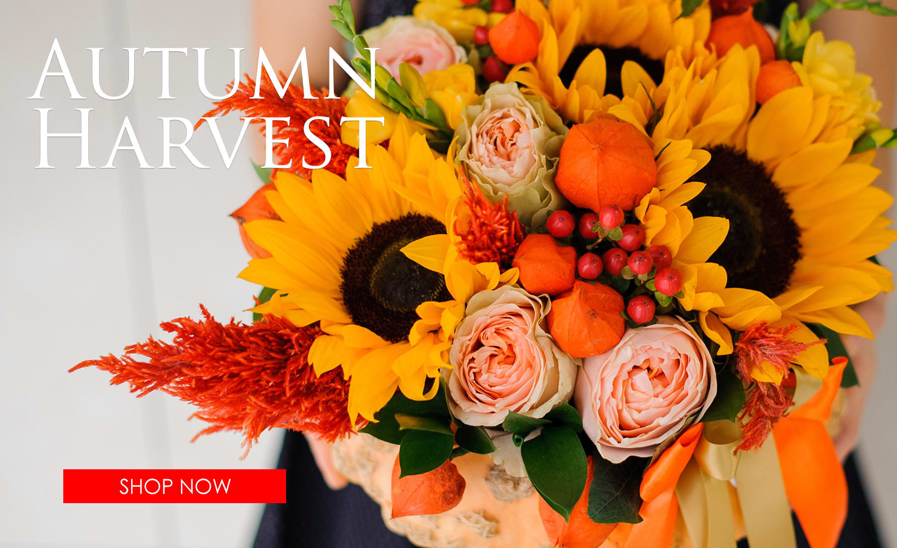 Yuma Florist Flower Delivery by All Seasons Florist