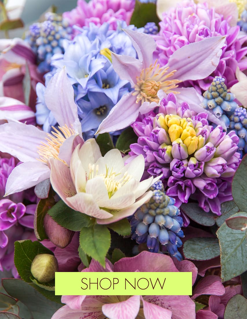 Columbia Florist Flower Delivery by My Secret Garden