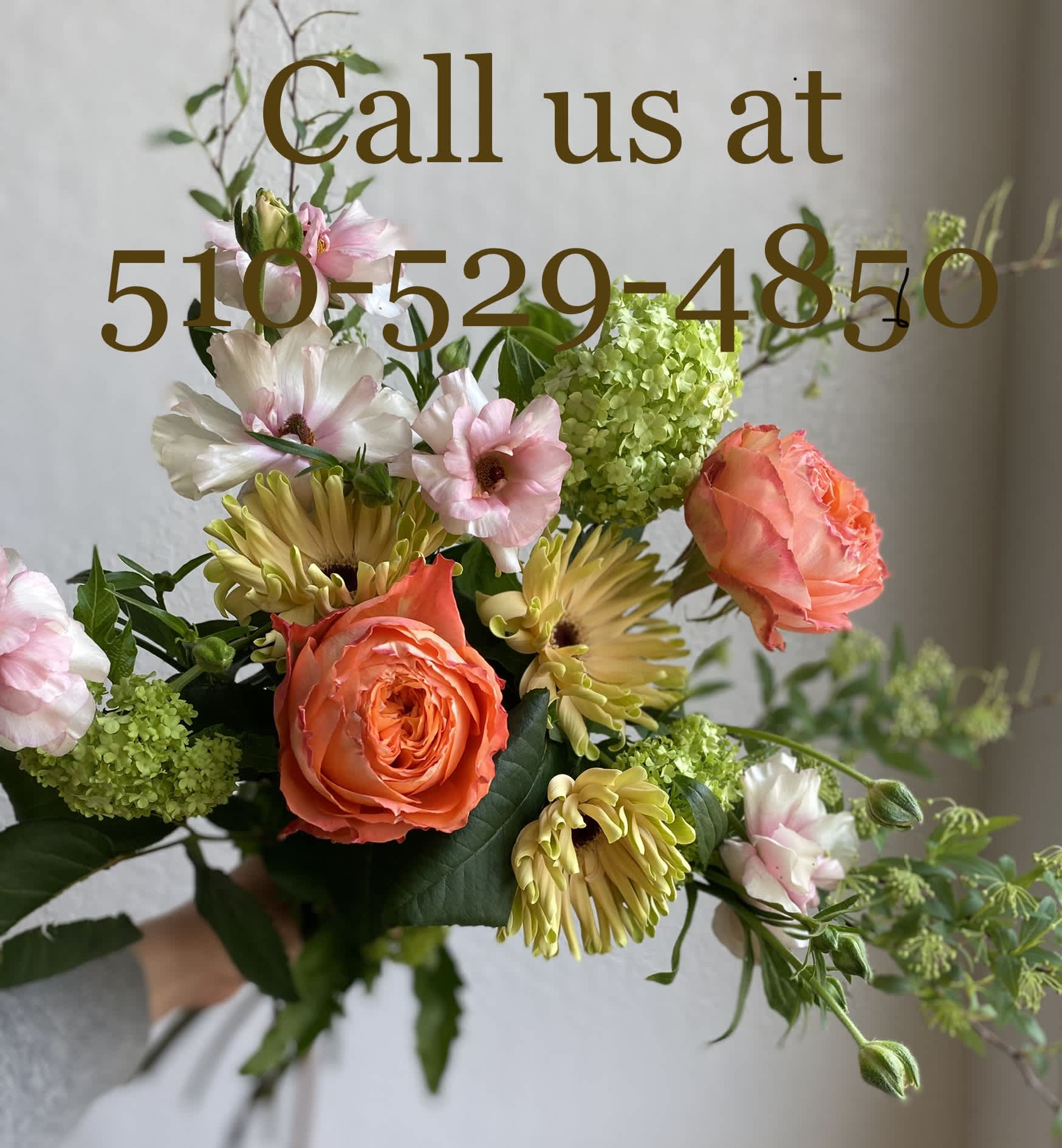 The "Hang in There" Bouquet and The Germless Hug.