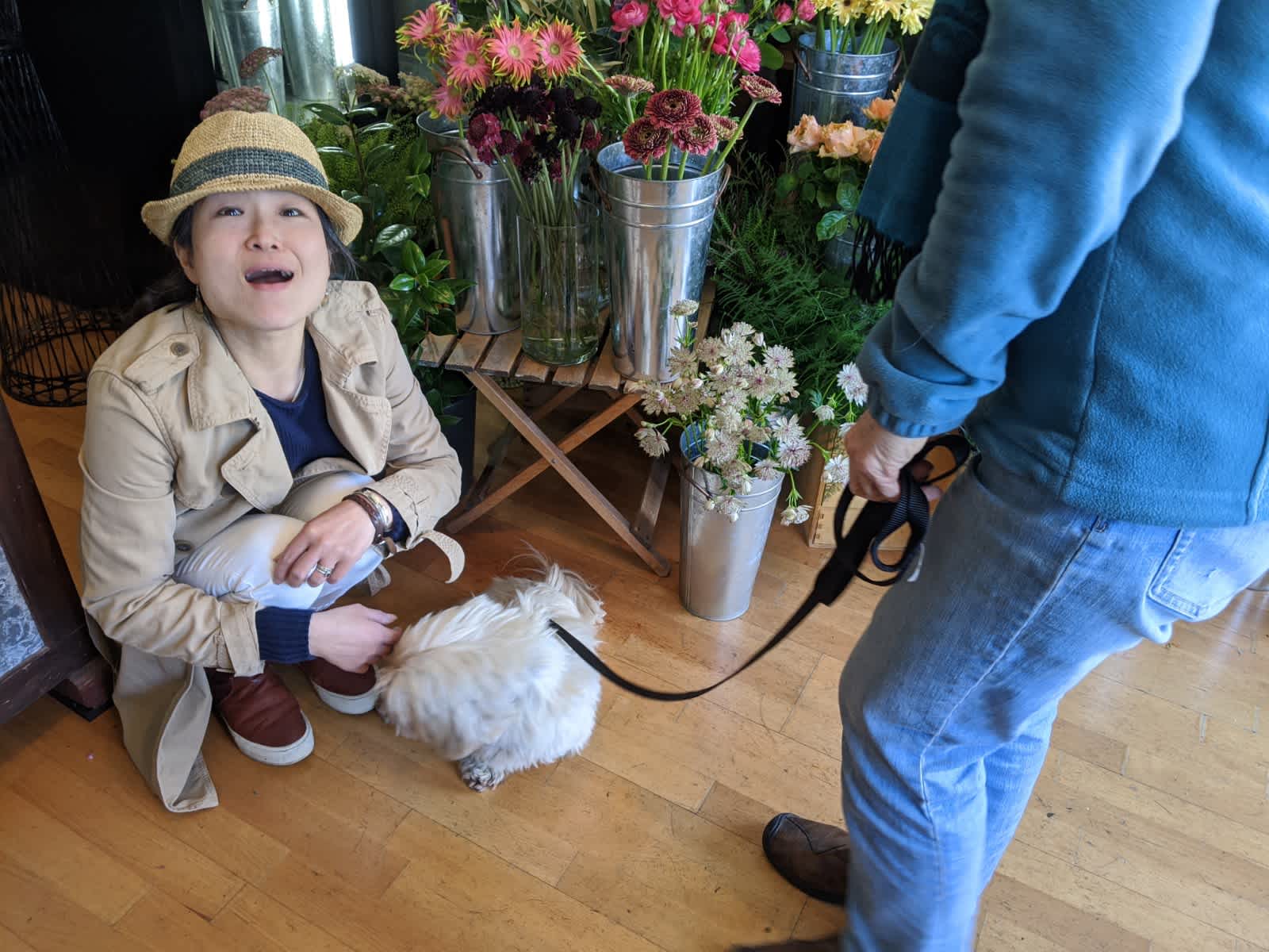 Momo Meets Momo and The Calm After the Storm.