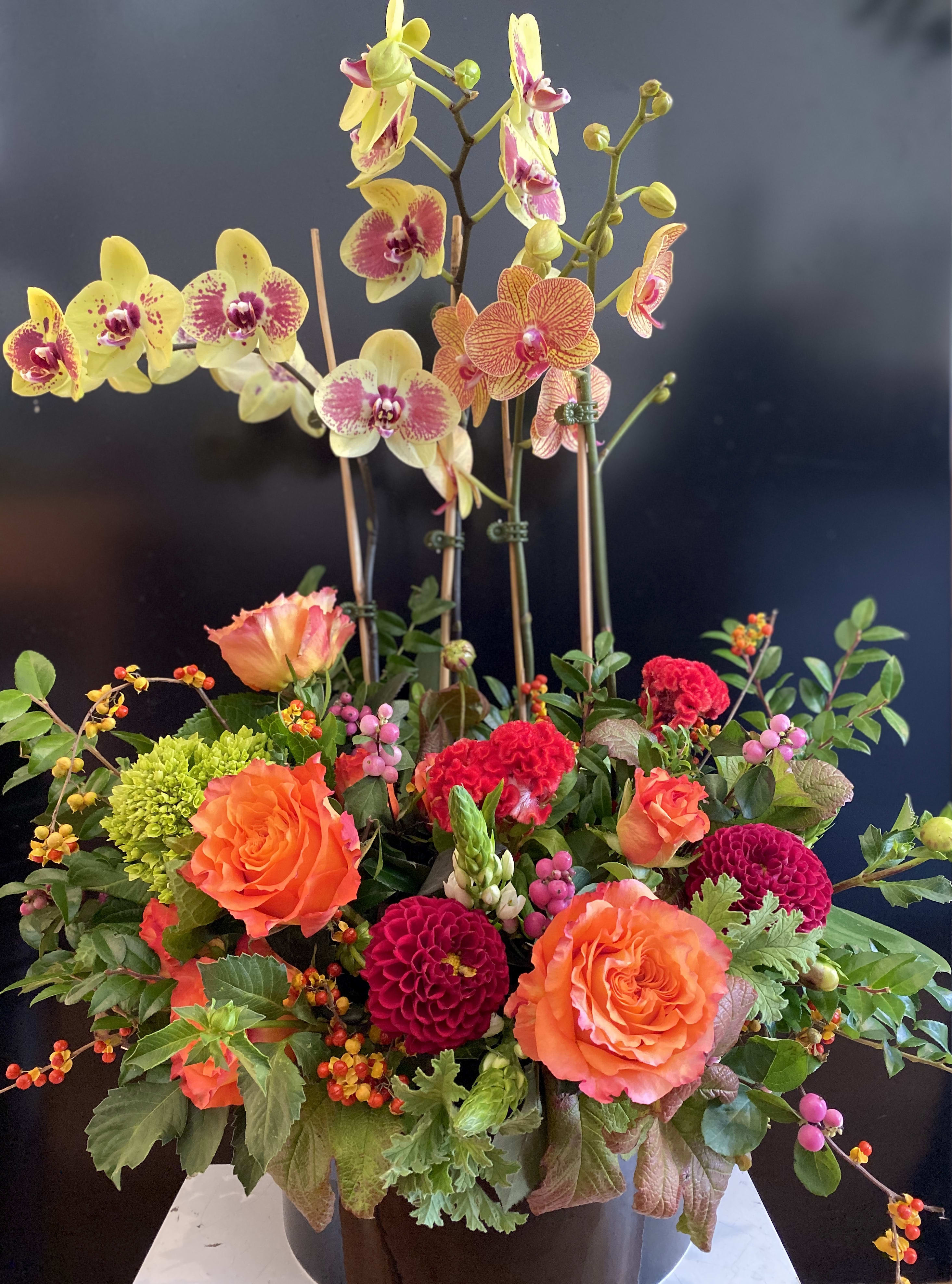 Super Sunday and Flower Power!