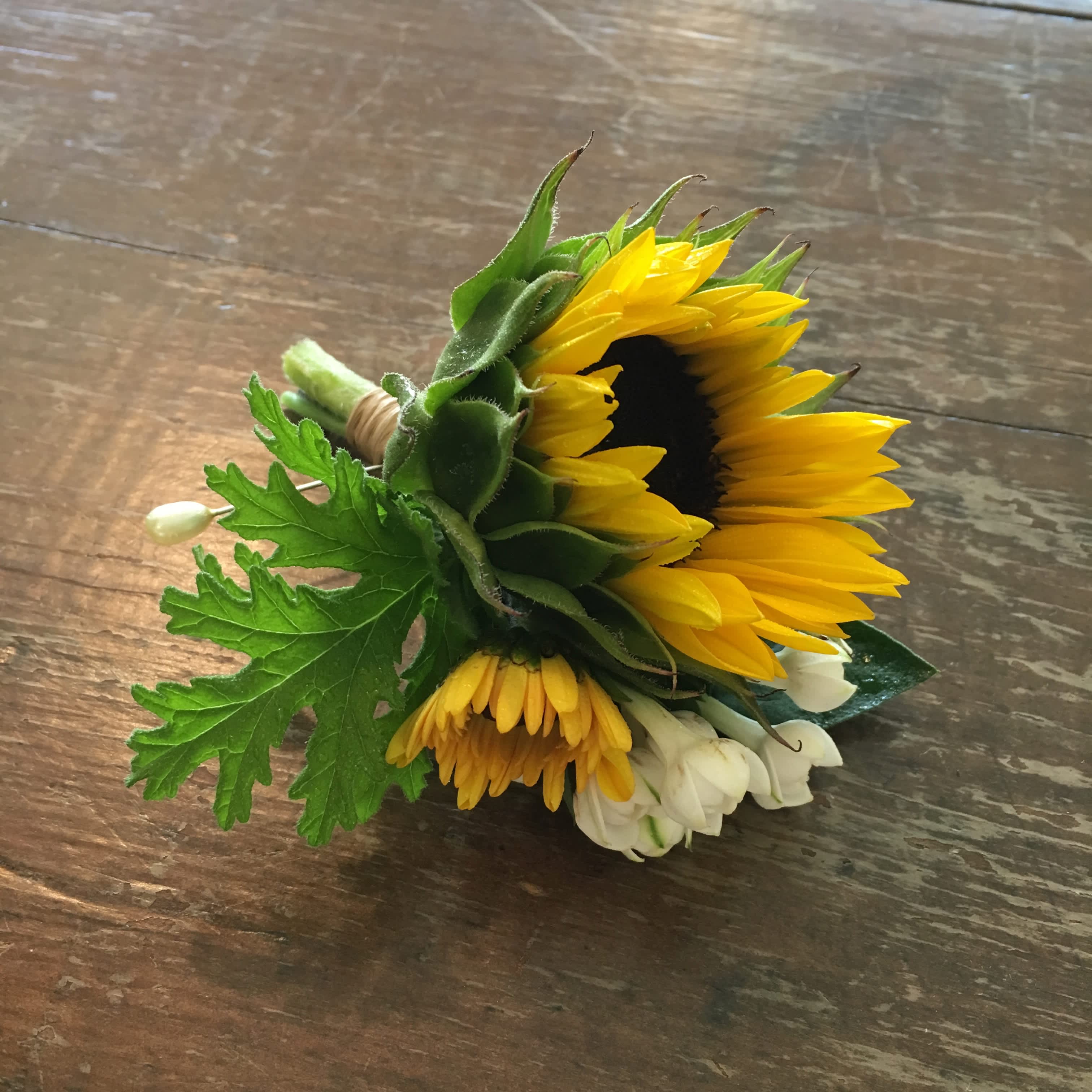 Air Plants, Sun Flowers and a Hooray!