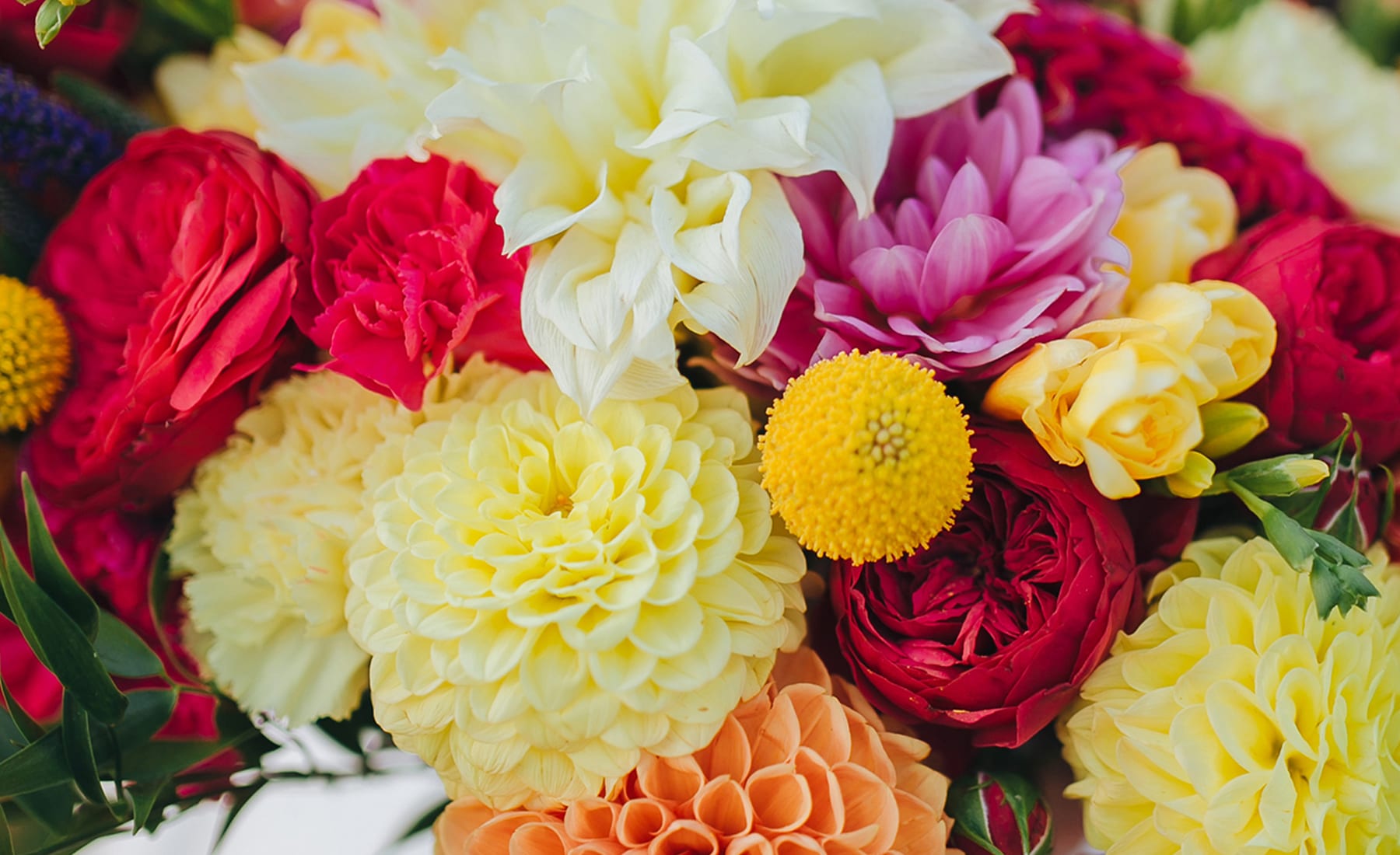 Rockwood Florist Flower Delivery by Rockwood Flower Shop