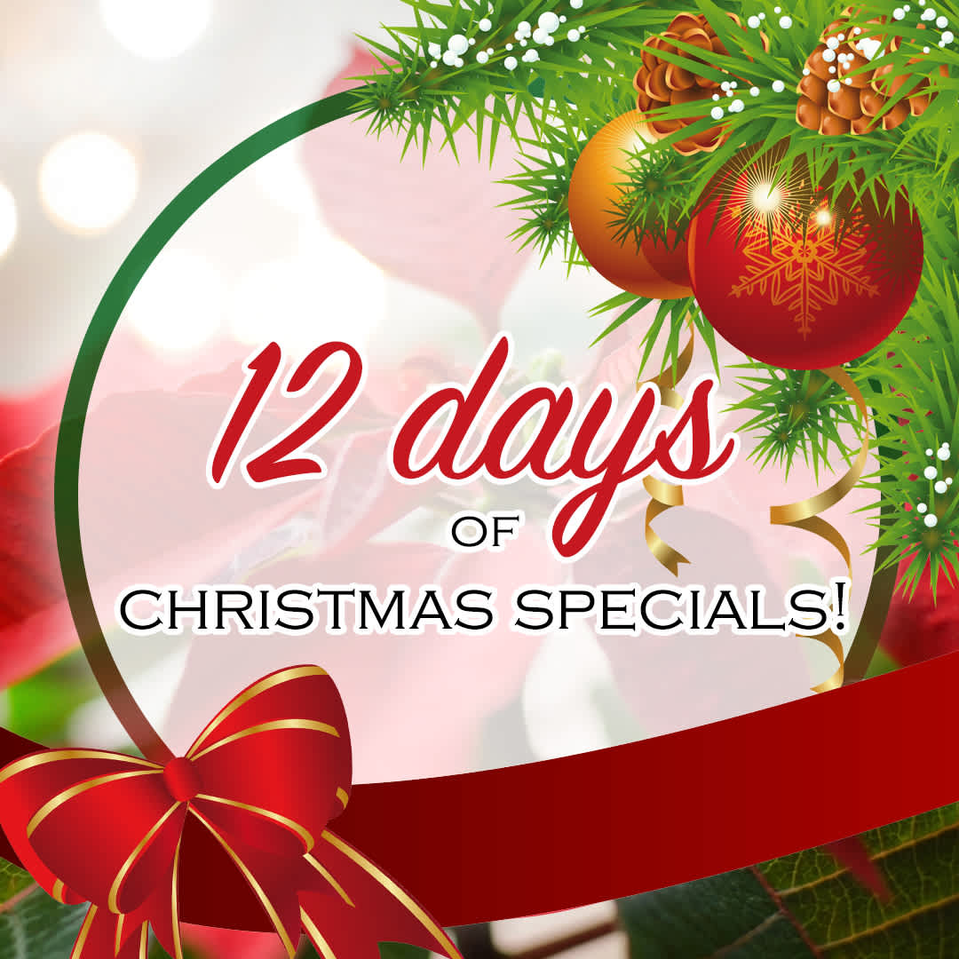 Offers) 12 Days of Christmas!