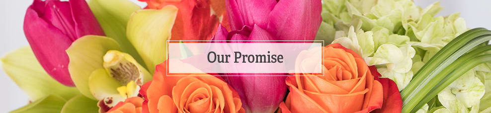 Our Promise Banner