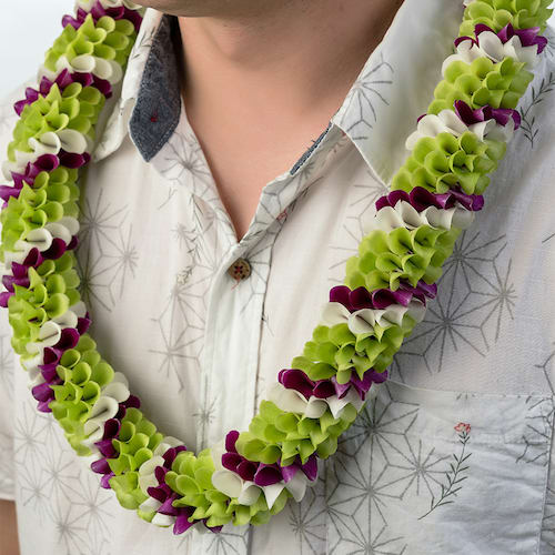 Where to Buy Hawaiian-Made Leis Right Here in Seattle