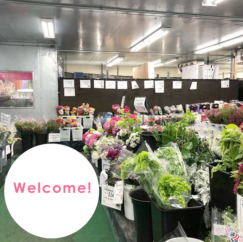 Nursery Fresh Wholesale Flowers