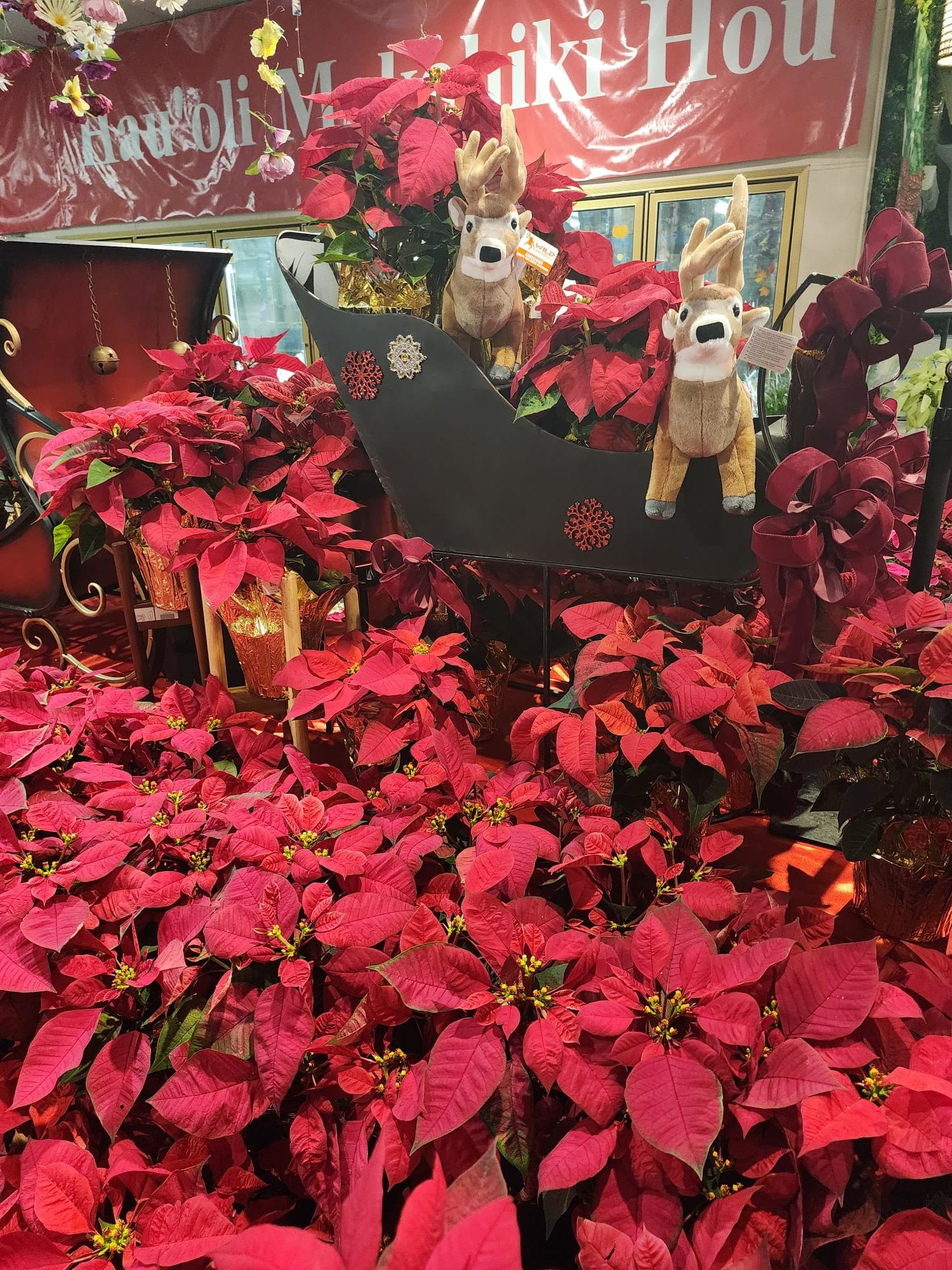 christmas-wonderland-gallery-watanabe-floral-inc
