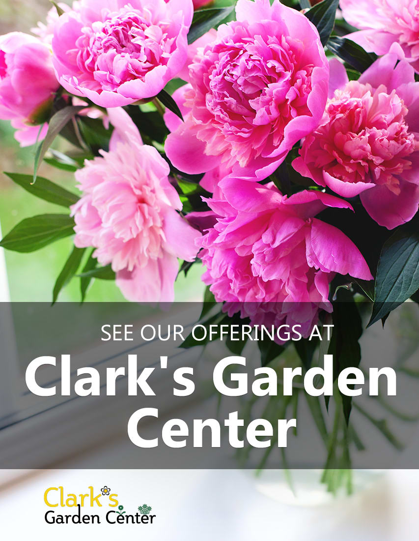 Connersville Florist Flower Delivery by Clark's Flower Shop & Garden