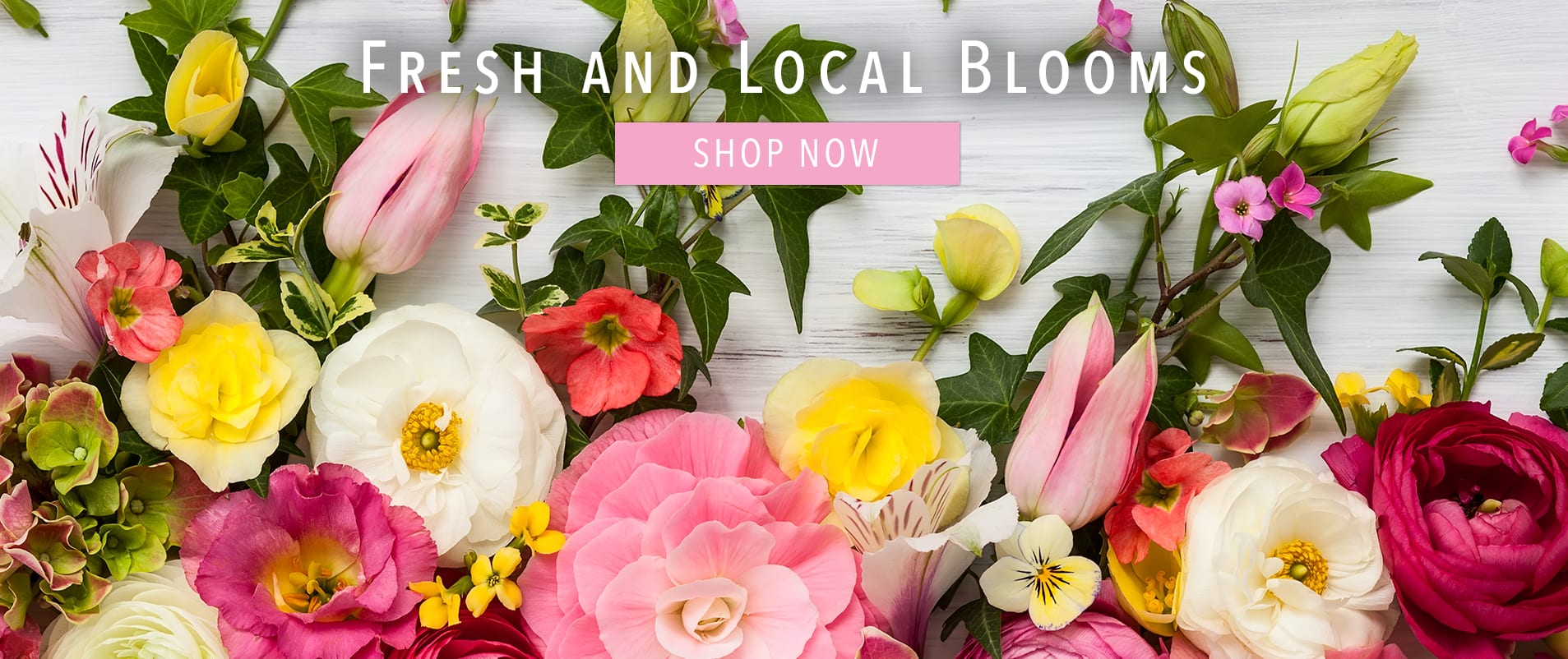 Bergenfield Florist Flower Delivery by Broderick's Flowers