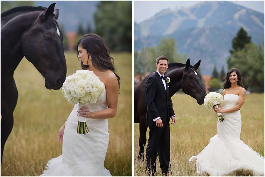 Timeless & Traditional