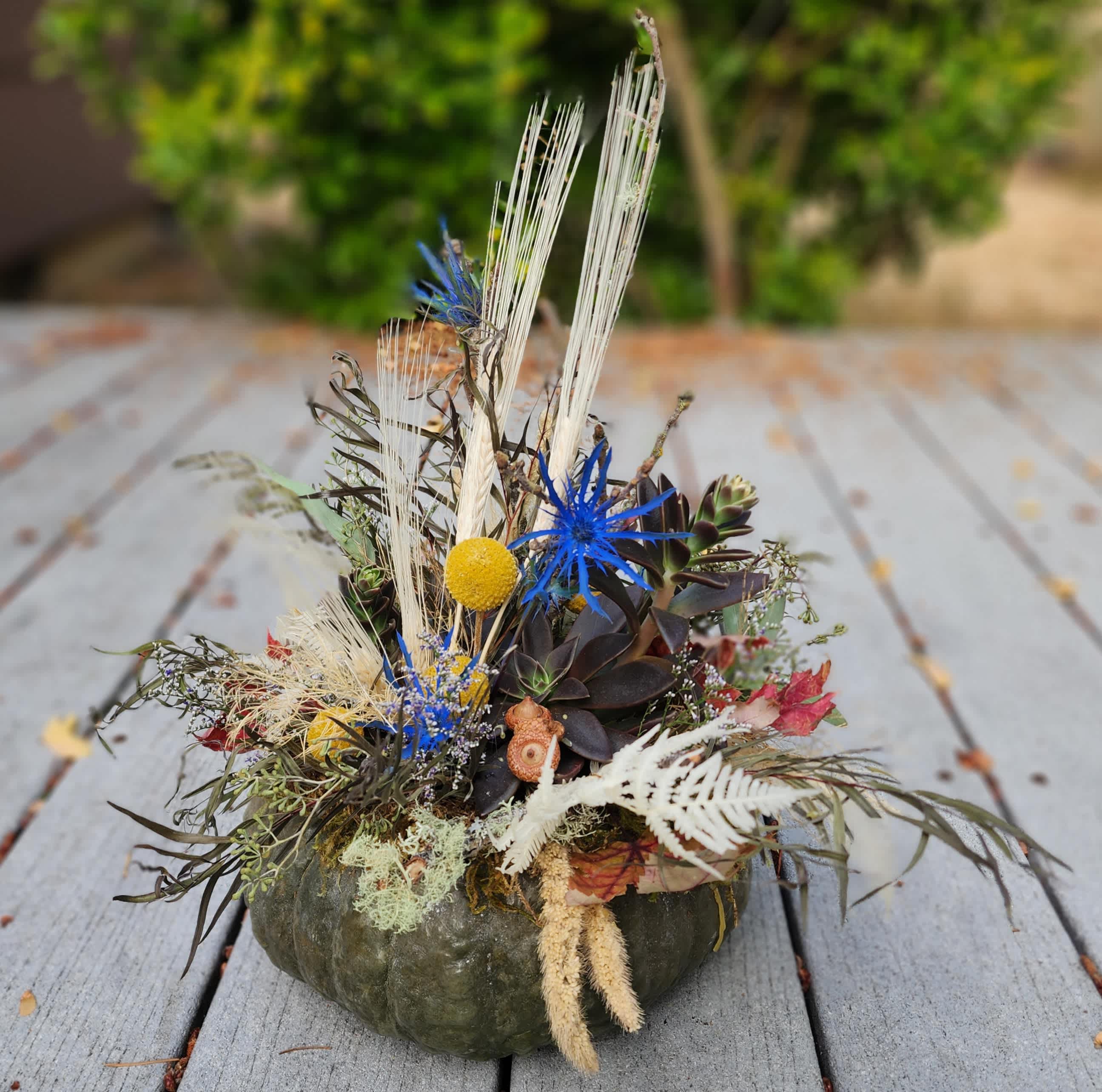 Unique Succulent Pumpkin Creations