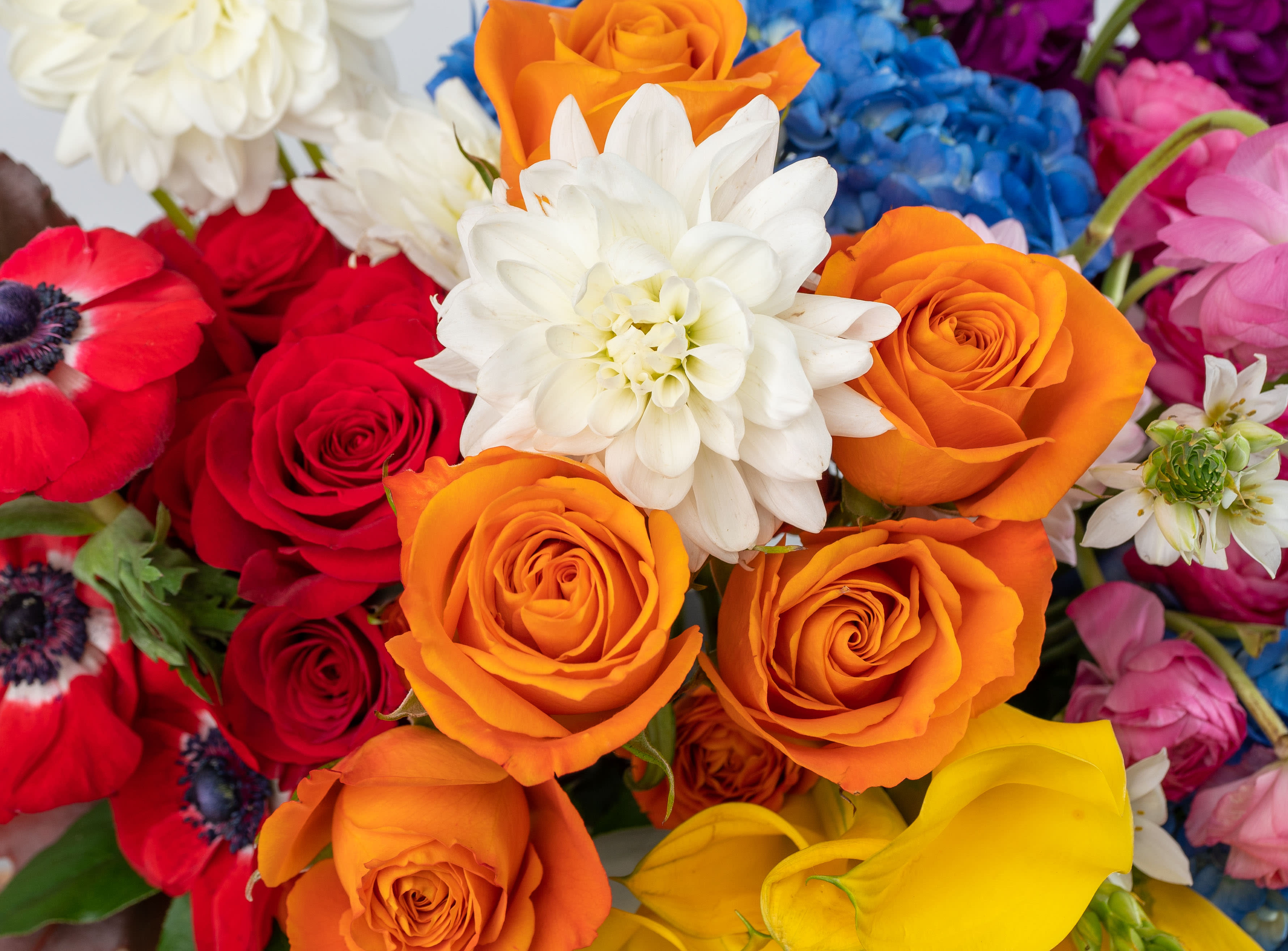 Koko Florist, business photo 3