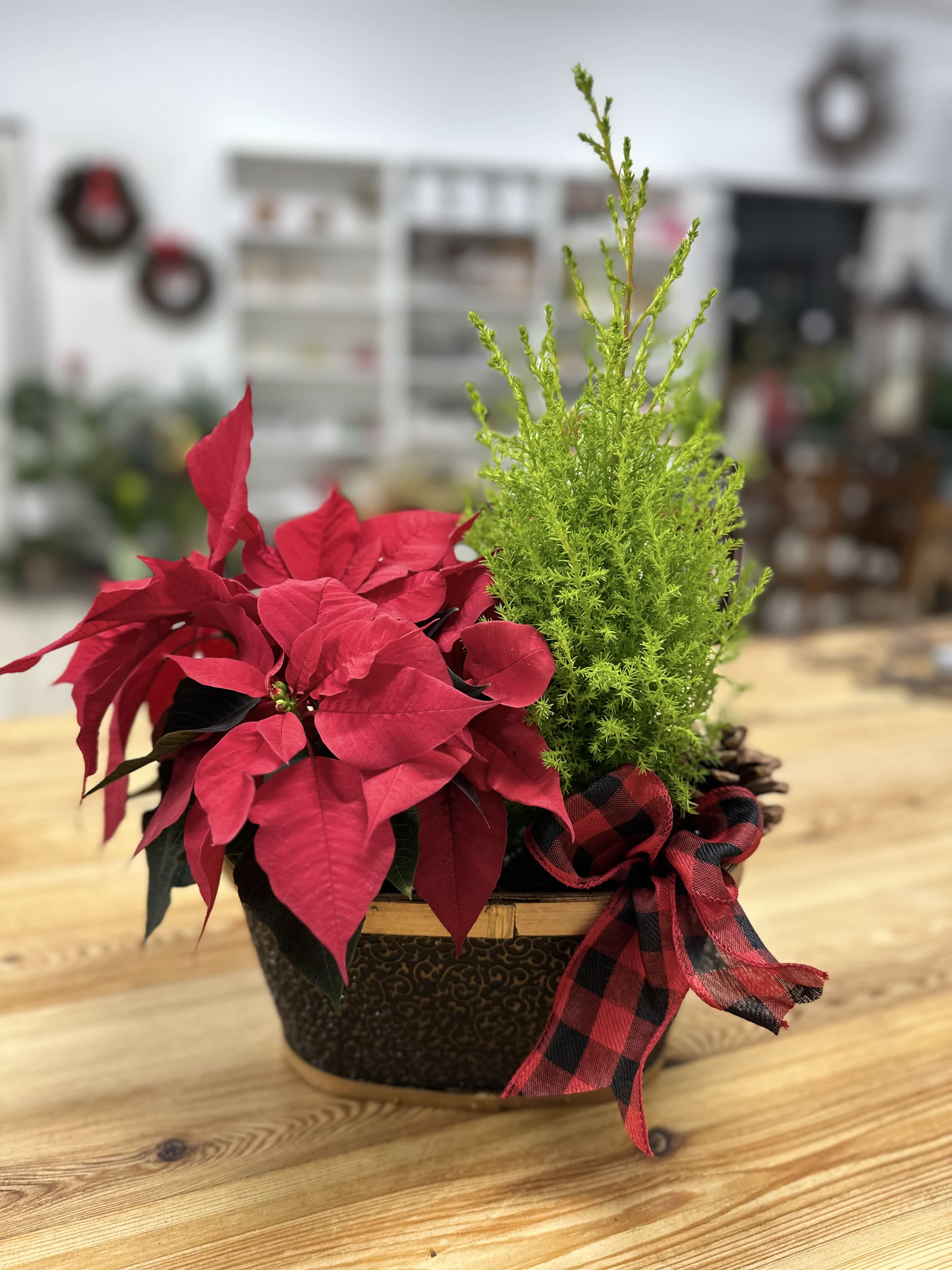 Most popular Christmas flowers that are not flowers