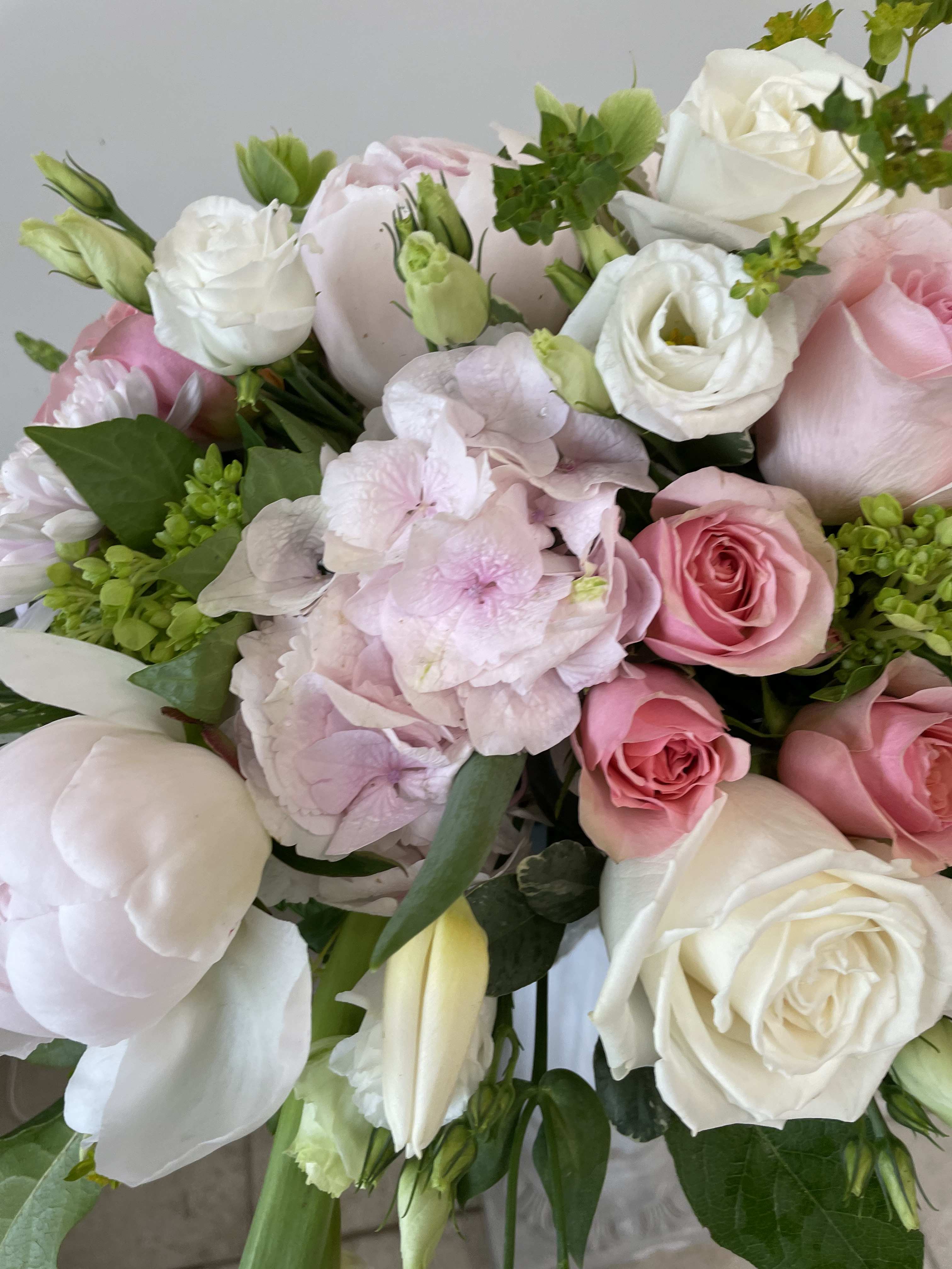 June is in bloom with Rosy Celebration