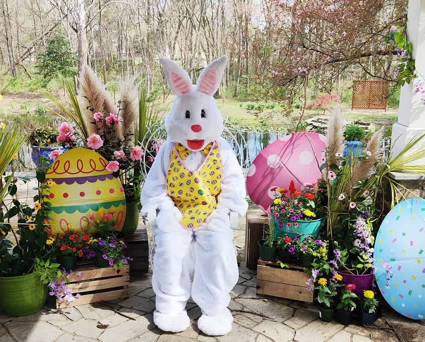 Easter Egg Hunt