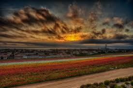 Our new website . A new beginning 