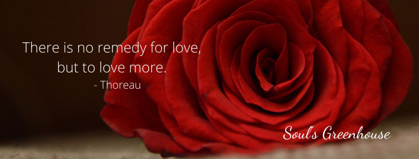 Valentine's Day - why red roses?