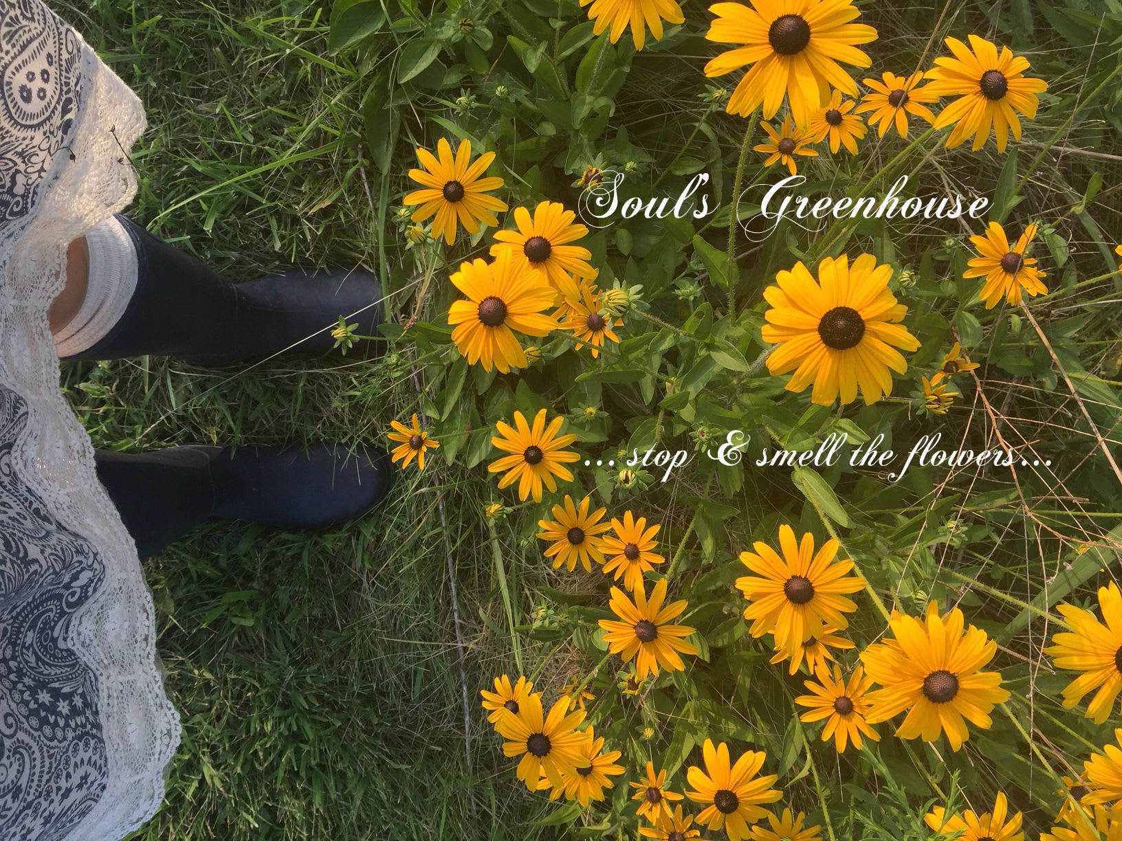 Whispering to the Flowers once again