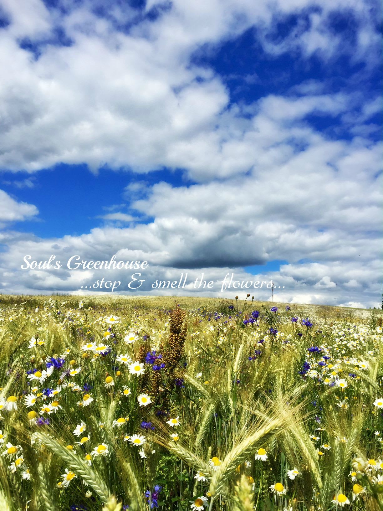 My Homeland - where the Sky meets the Land