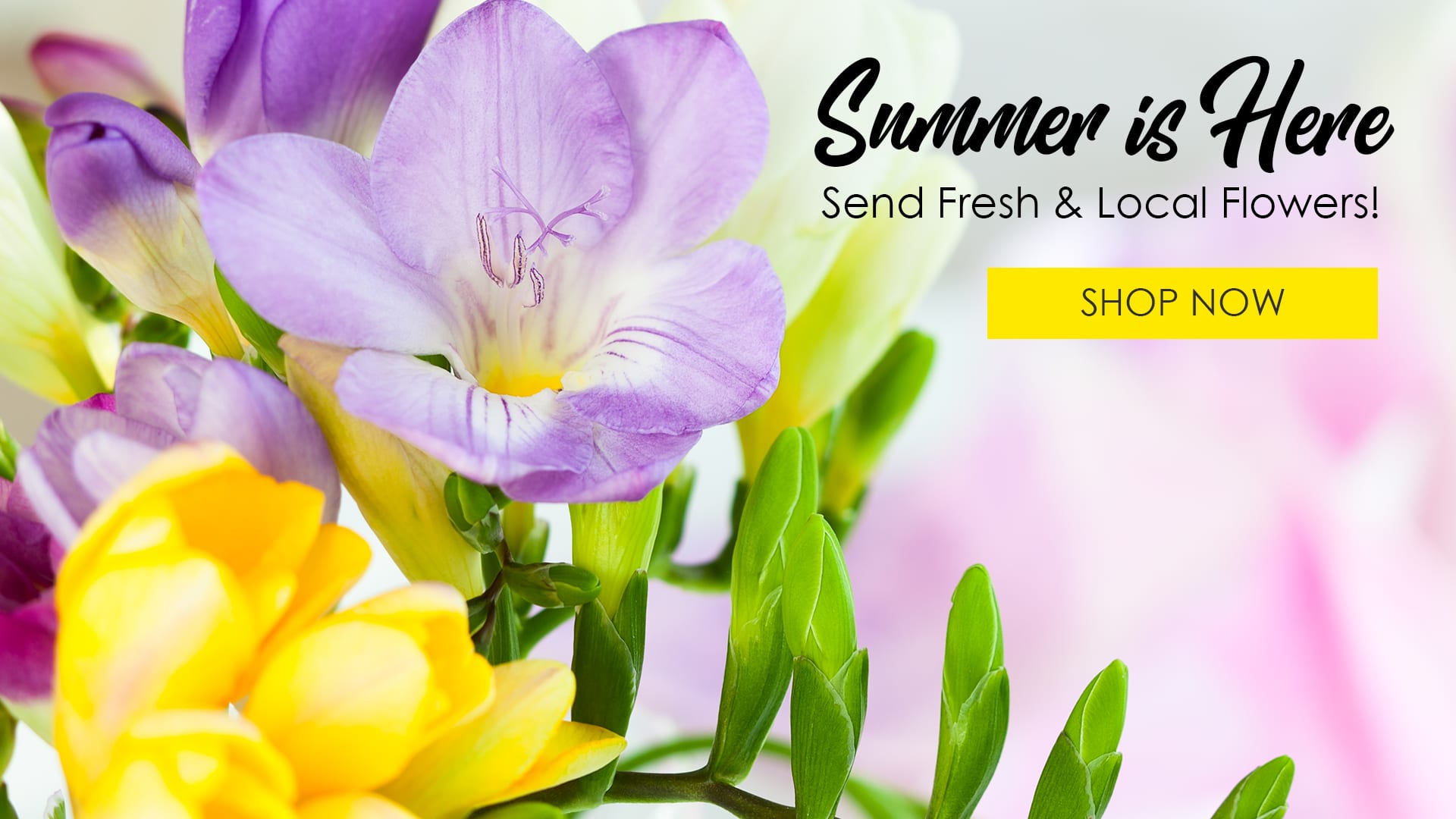 Greensburg Florist | Flower Delivery by Expressions Florist and Greenhouses