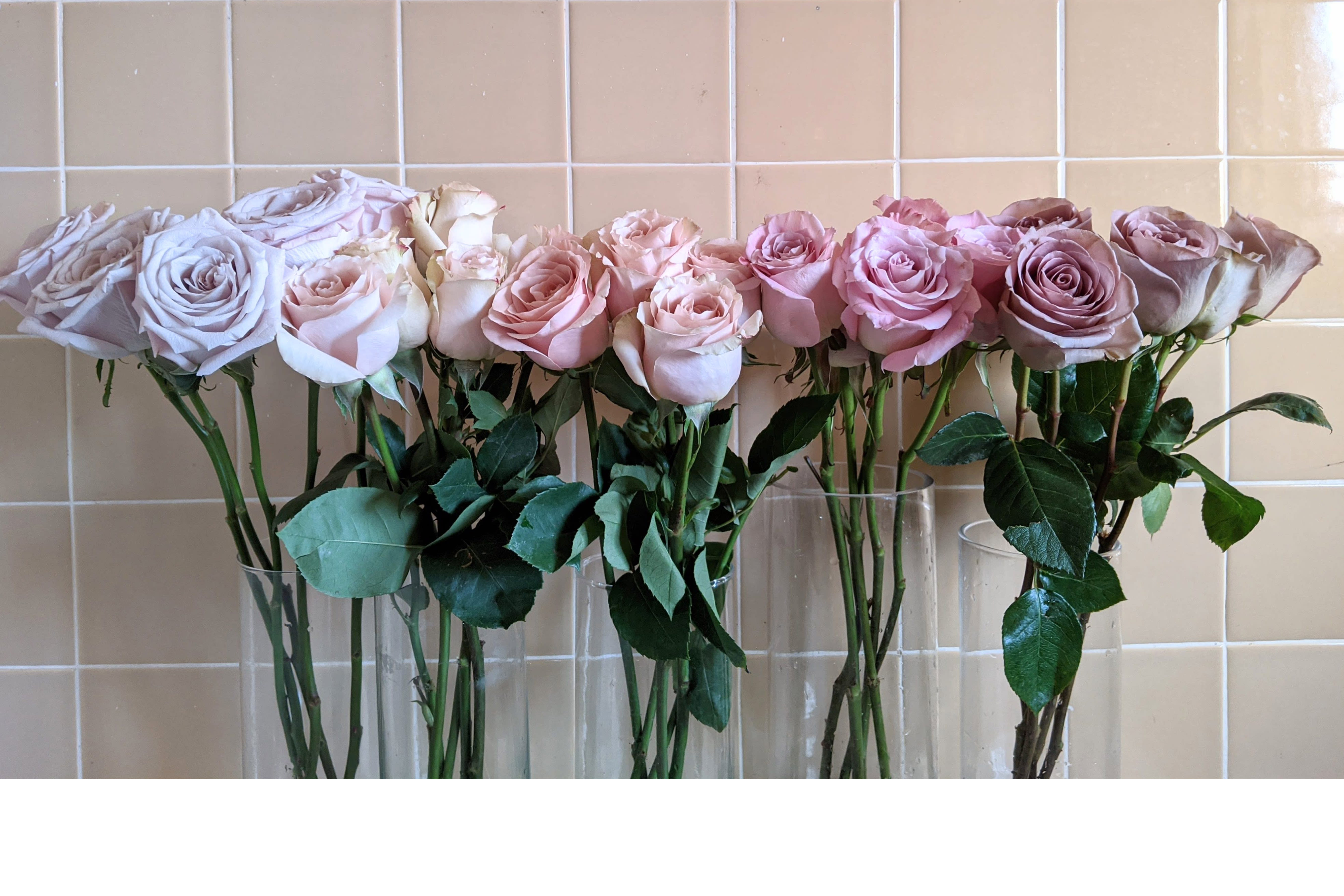 Redondo Beach Florist Flower Delivery by J Flowers