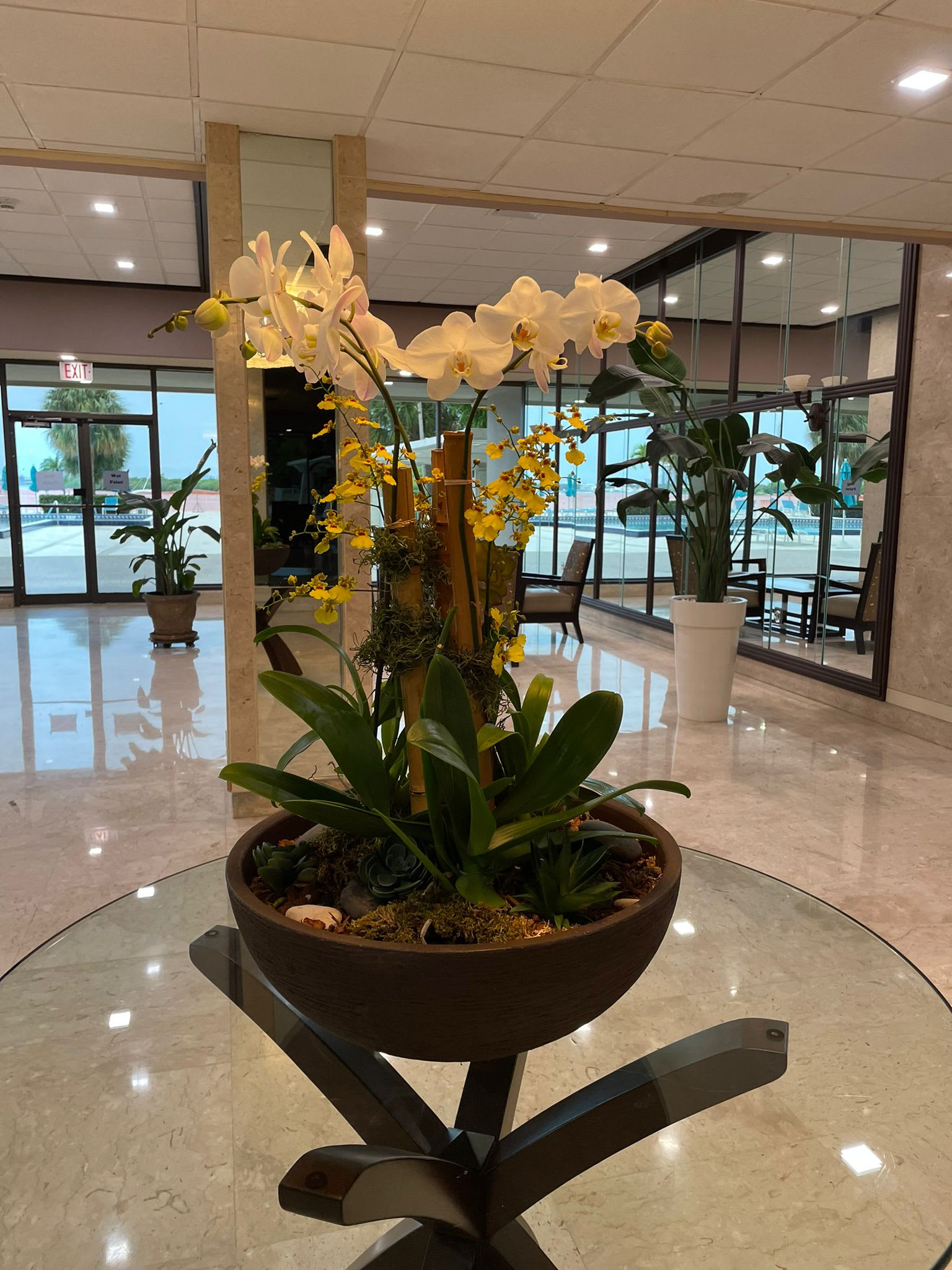 The Best Flower Shopping Experience in Florida.