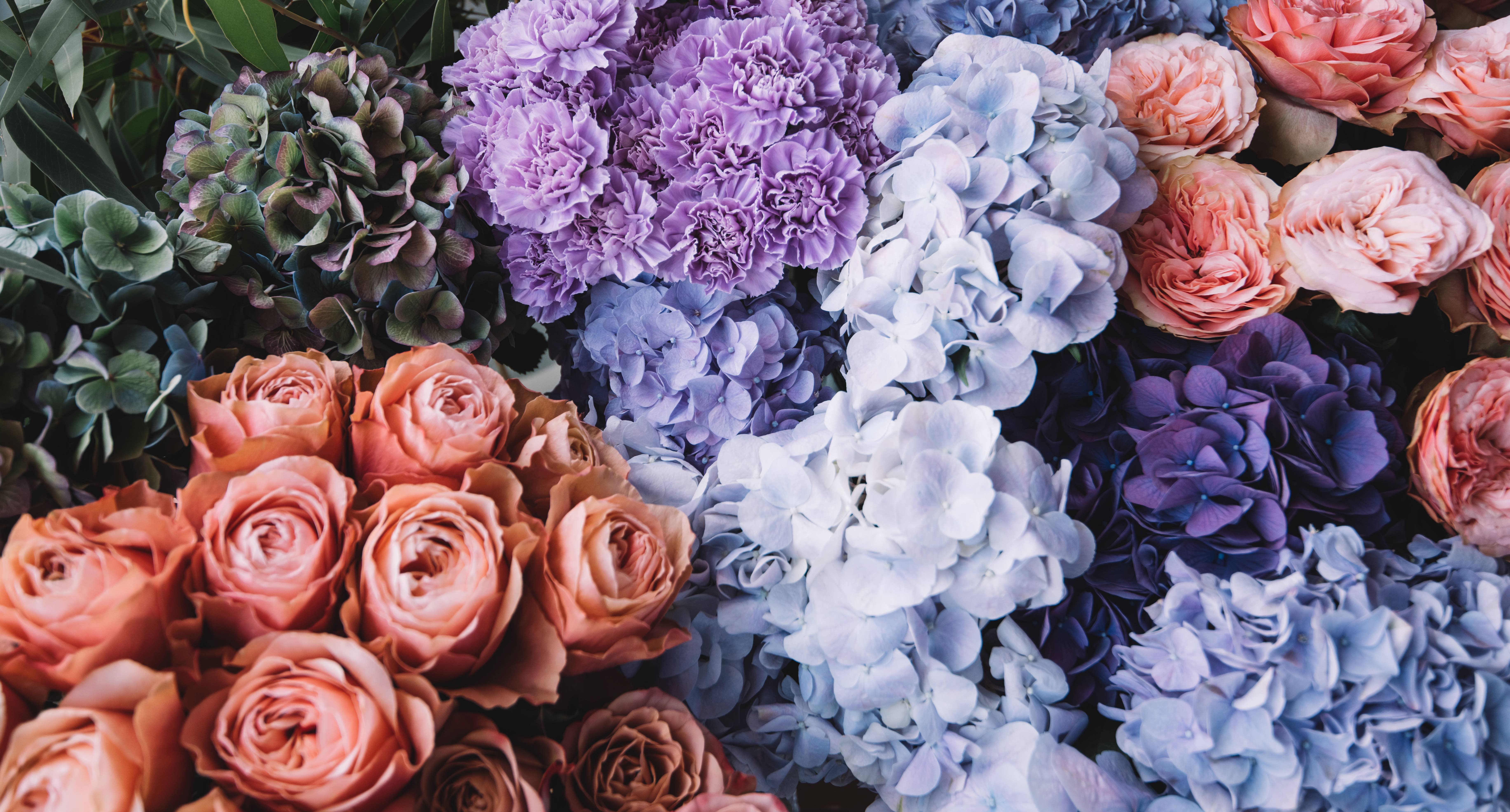 Philadelphia Florist Flower Delivery by Logan Floral Designs and Gifts