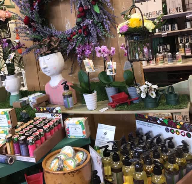 Fun around our store