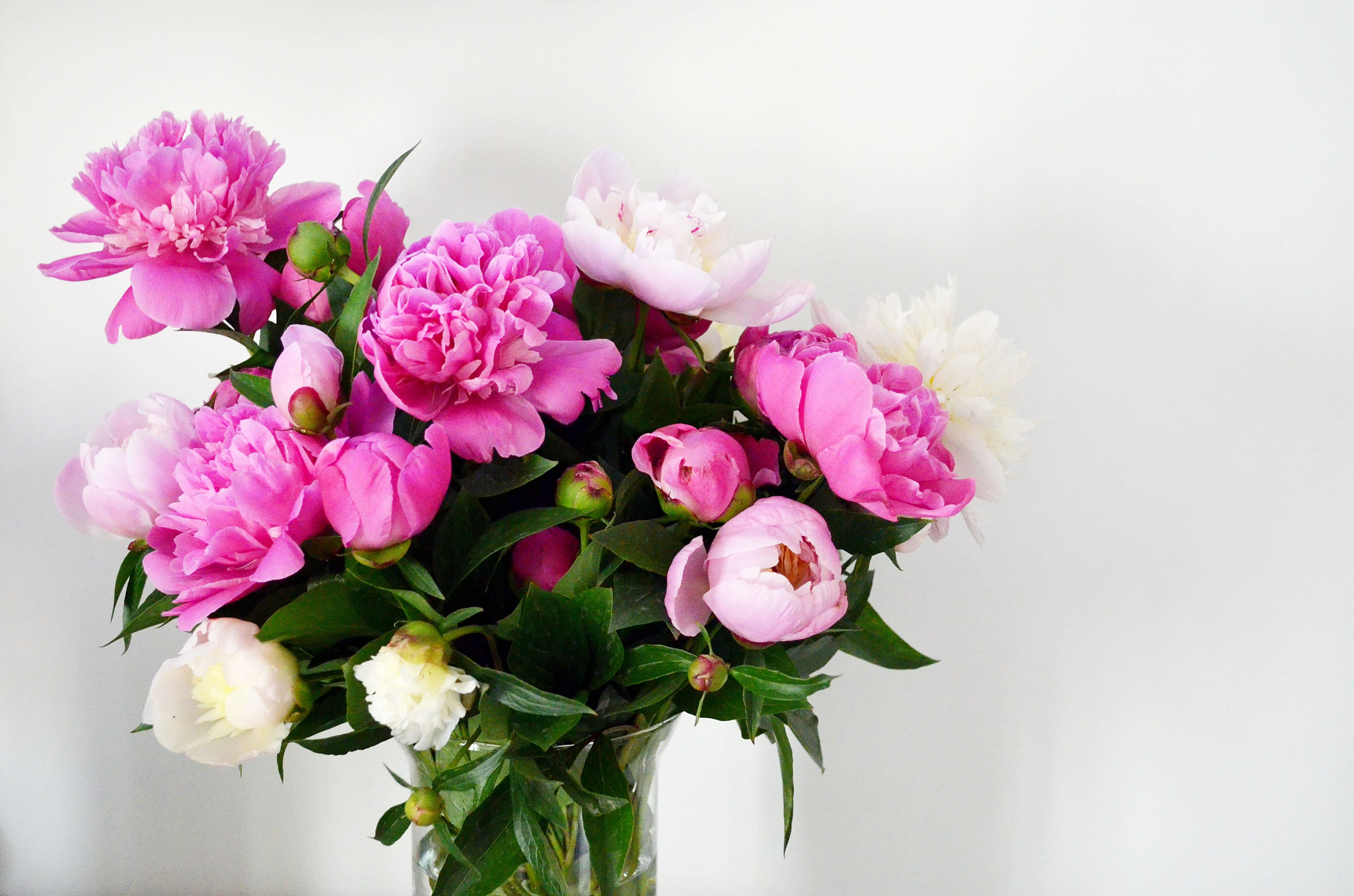 The Benefits of Having Flowers in Your Space