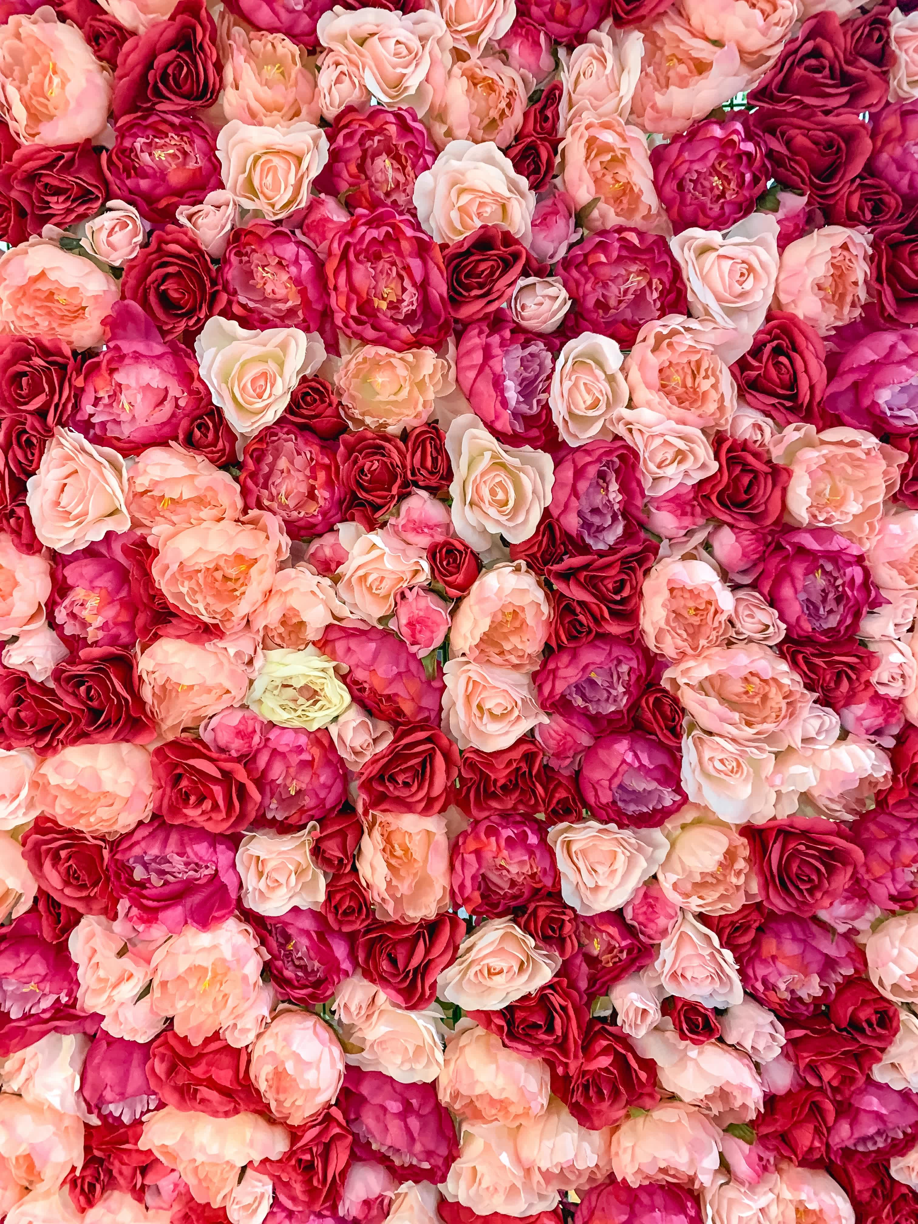 The Meaning of Roses by Color