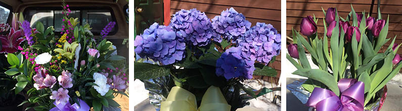 Flowers