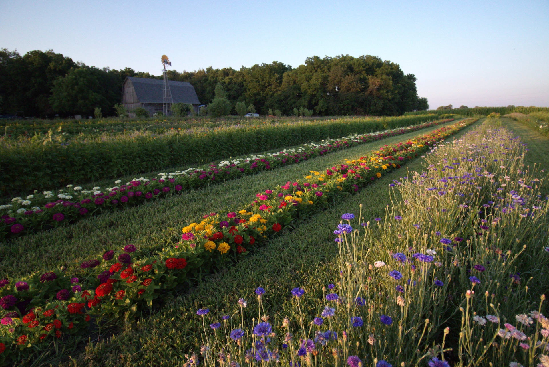Franklin Florist Flower Delivery by JP Parker Flowers