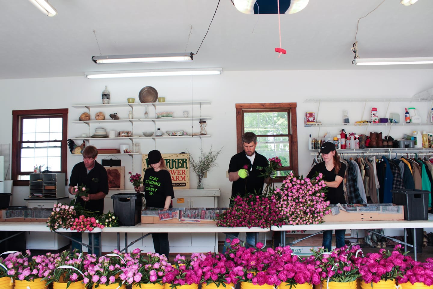How To Store Peonies