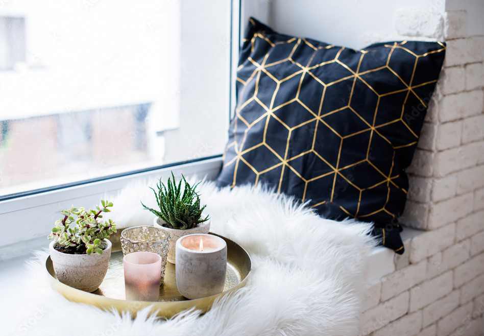 Succulents : How They Can Benefit You