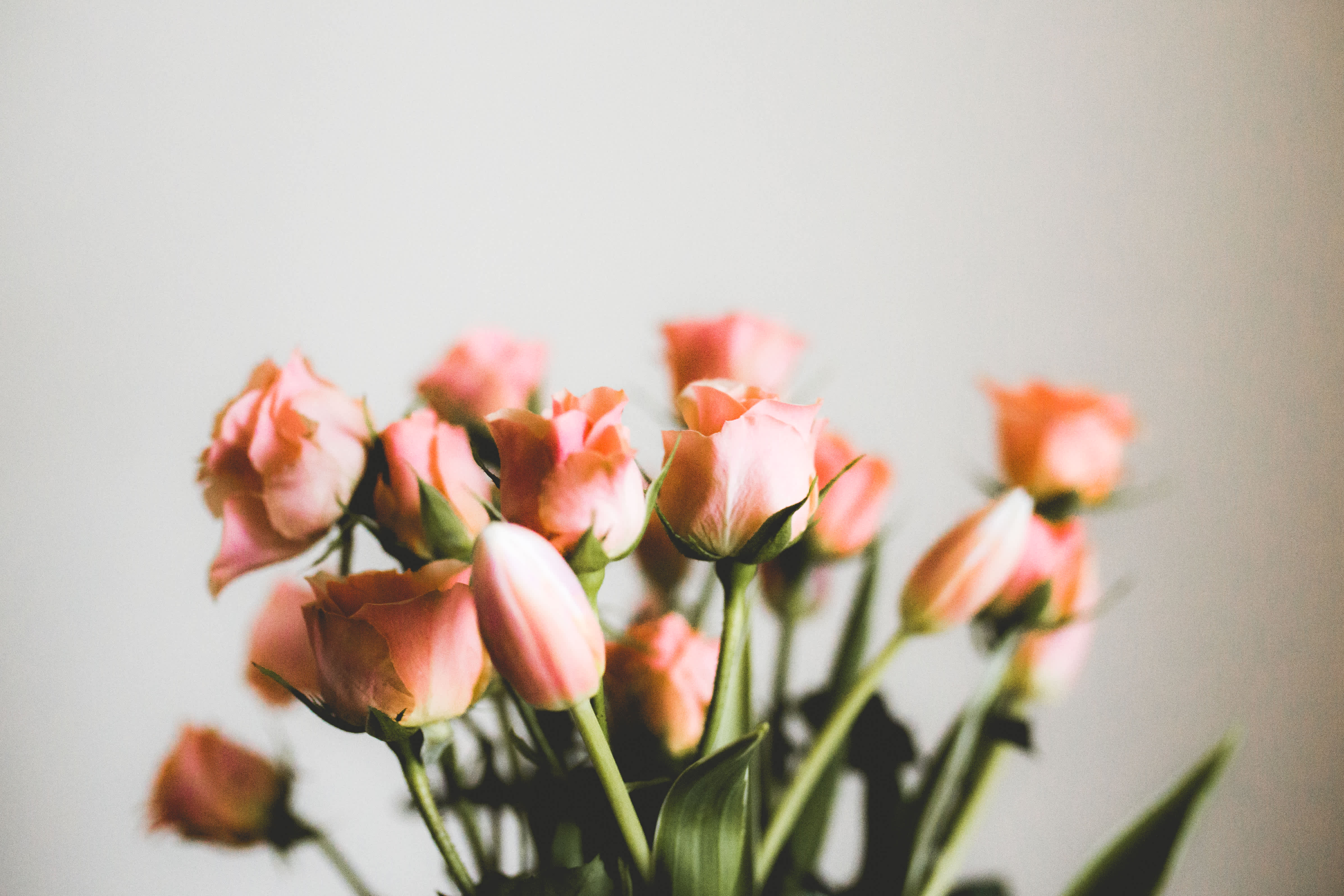 Ways to Brighten A Loved One's Hospital Stay