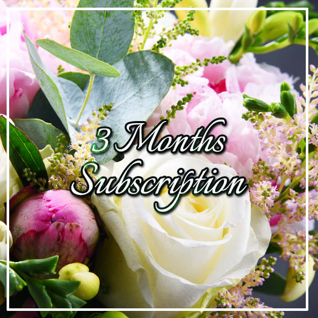 Weekly Flower Delivery 3 Months In Franklin In Jp Parker Flowers