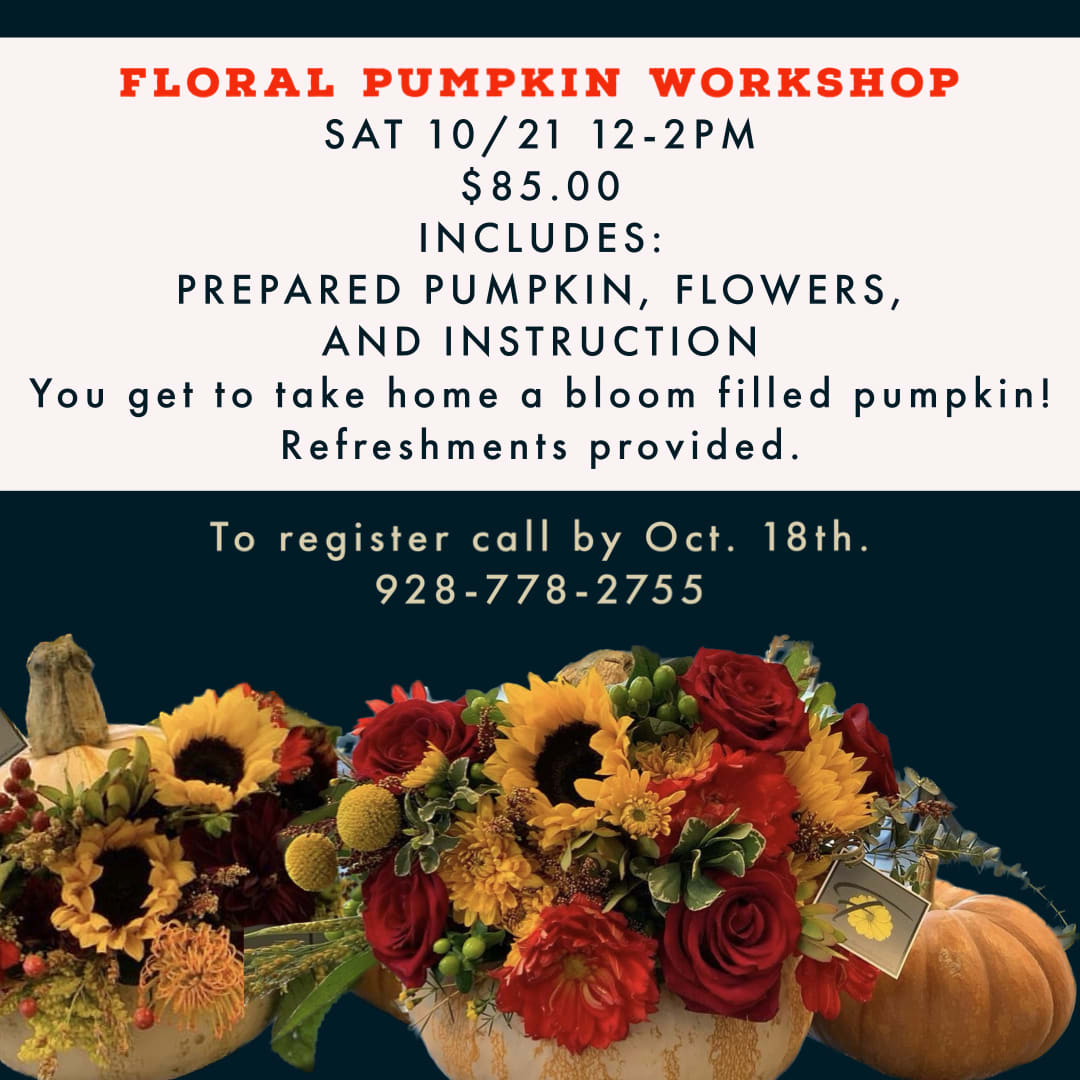 Workshops are back! 