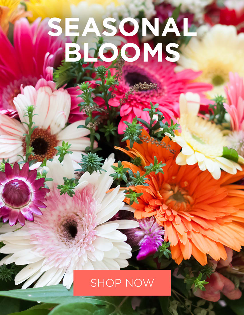 Corpus Christi Florist Flower Delivery by Andrews Flowers