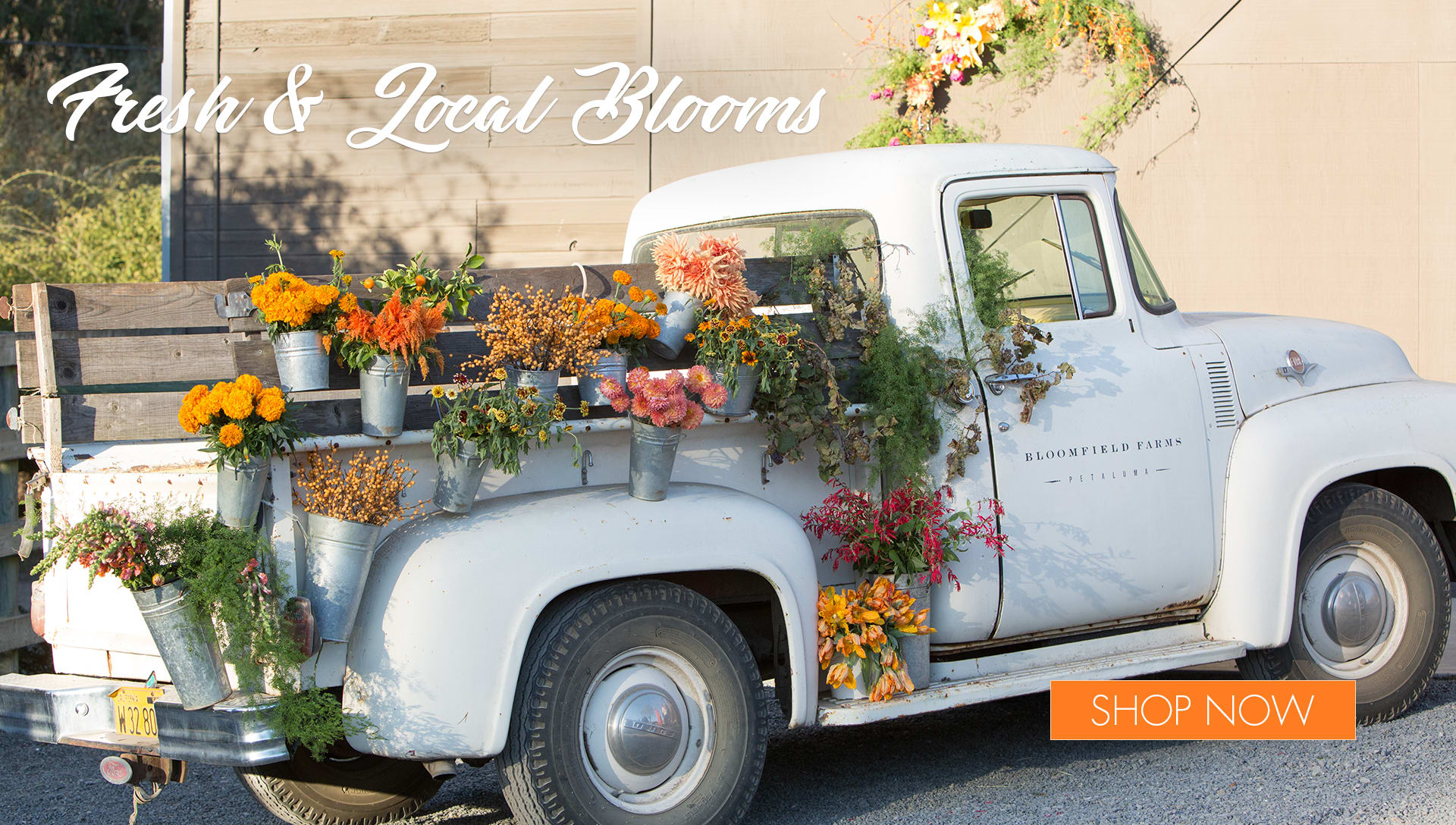 Petaluma Florist Flower Delivery by Flower Casita