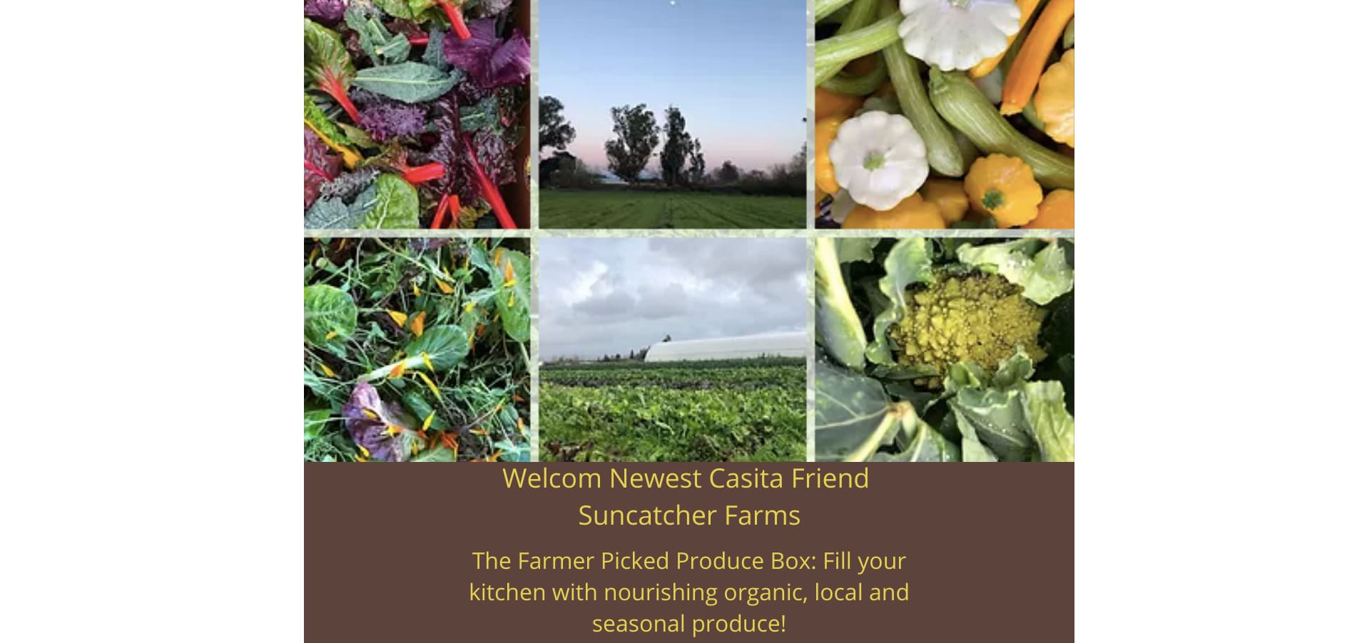 Petaluma Florist Flower Delivery by Flower Casita