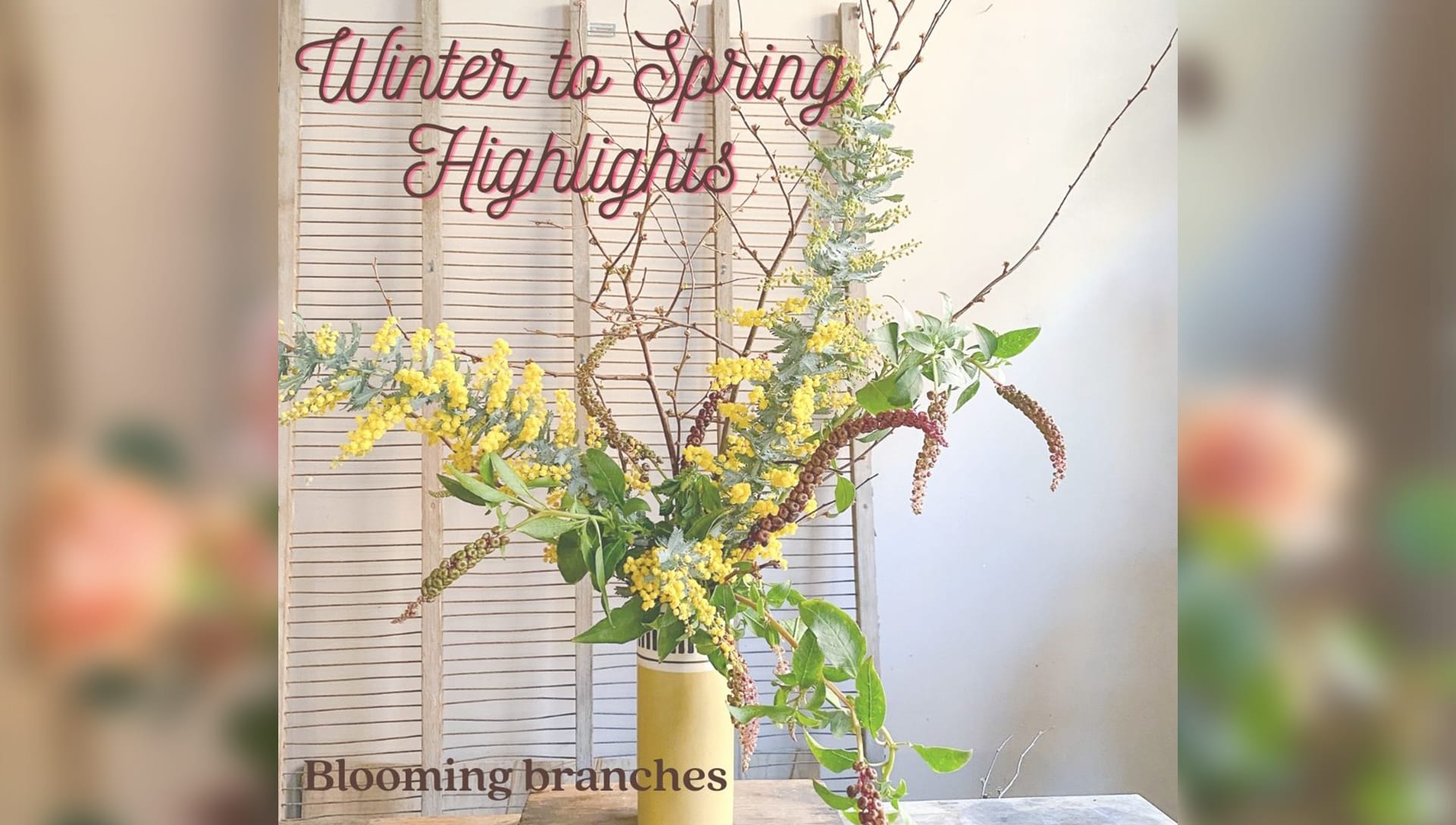 Petaluma Florist Flower Delivery by Flower Casita